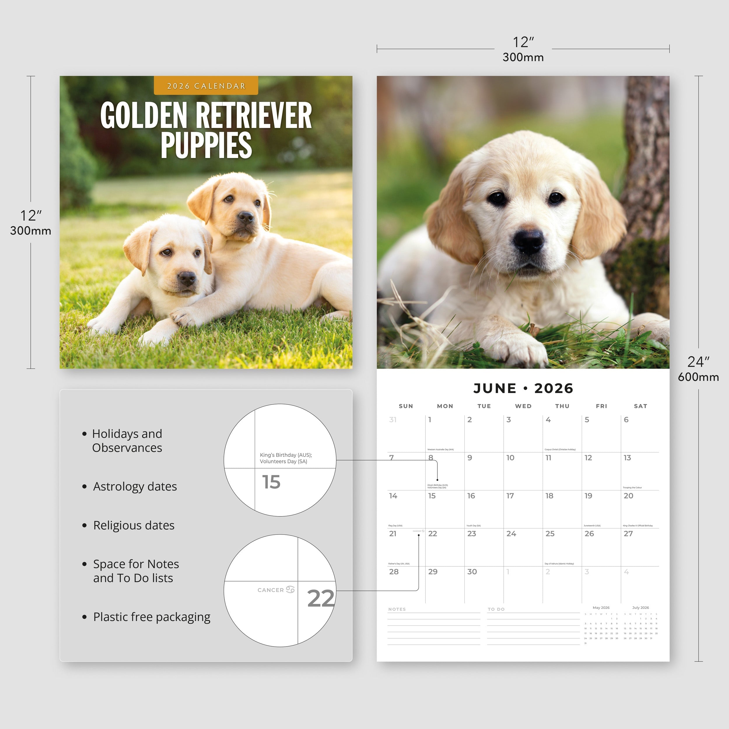 2026 Golden Retriever Puppies - Square Wall Calendar