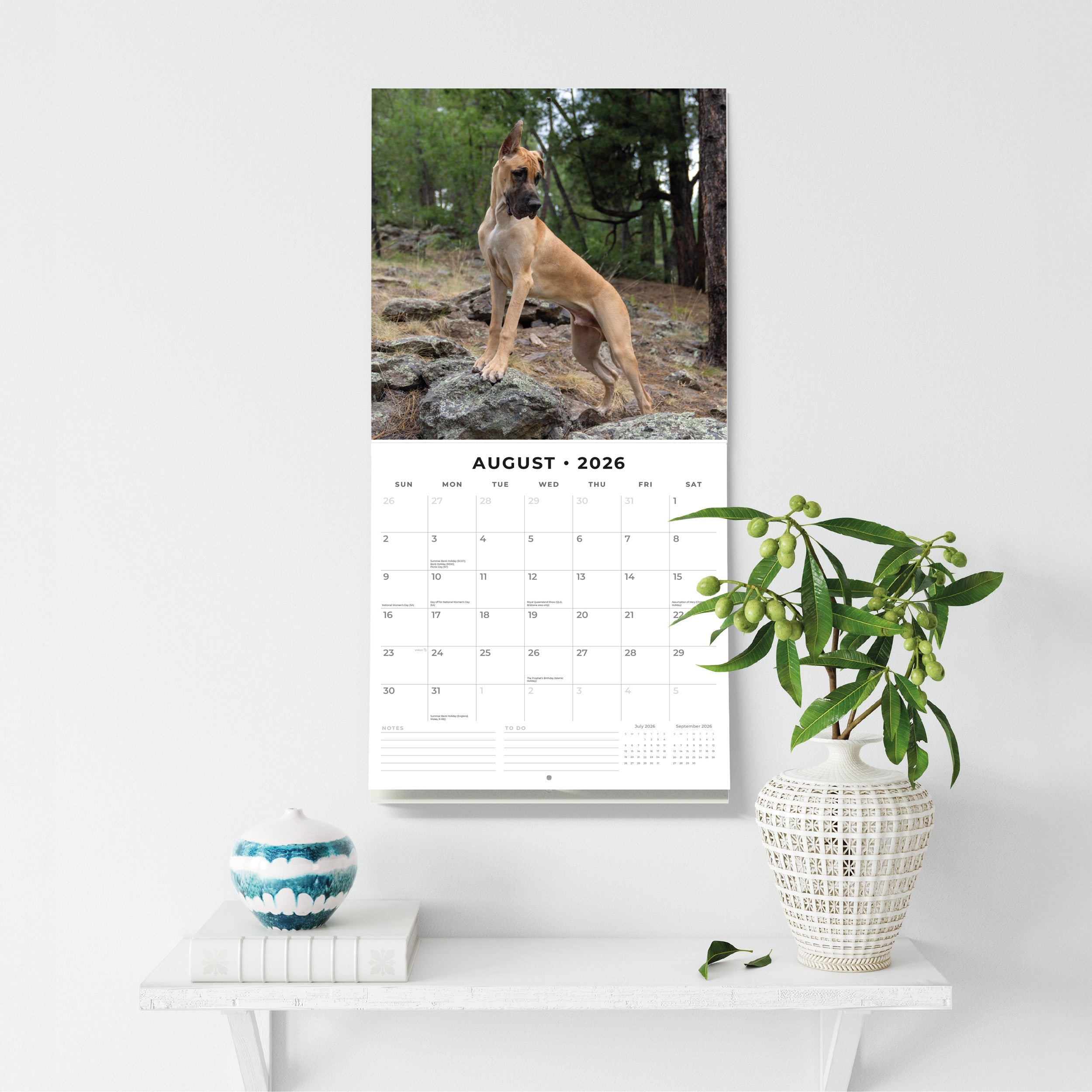2026 Great Danes - Square Wall Calendar