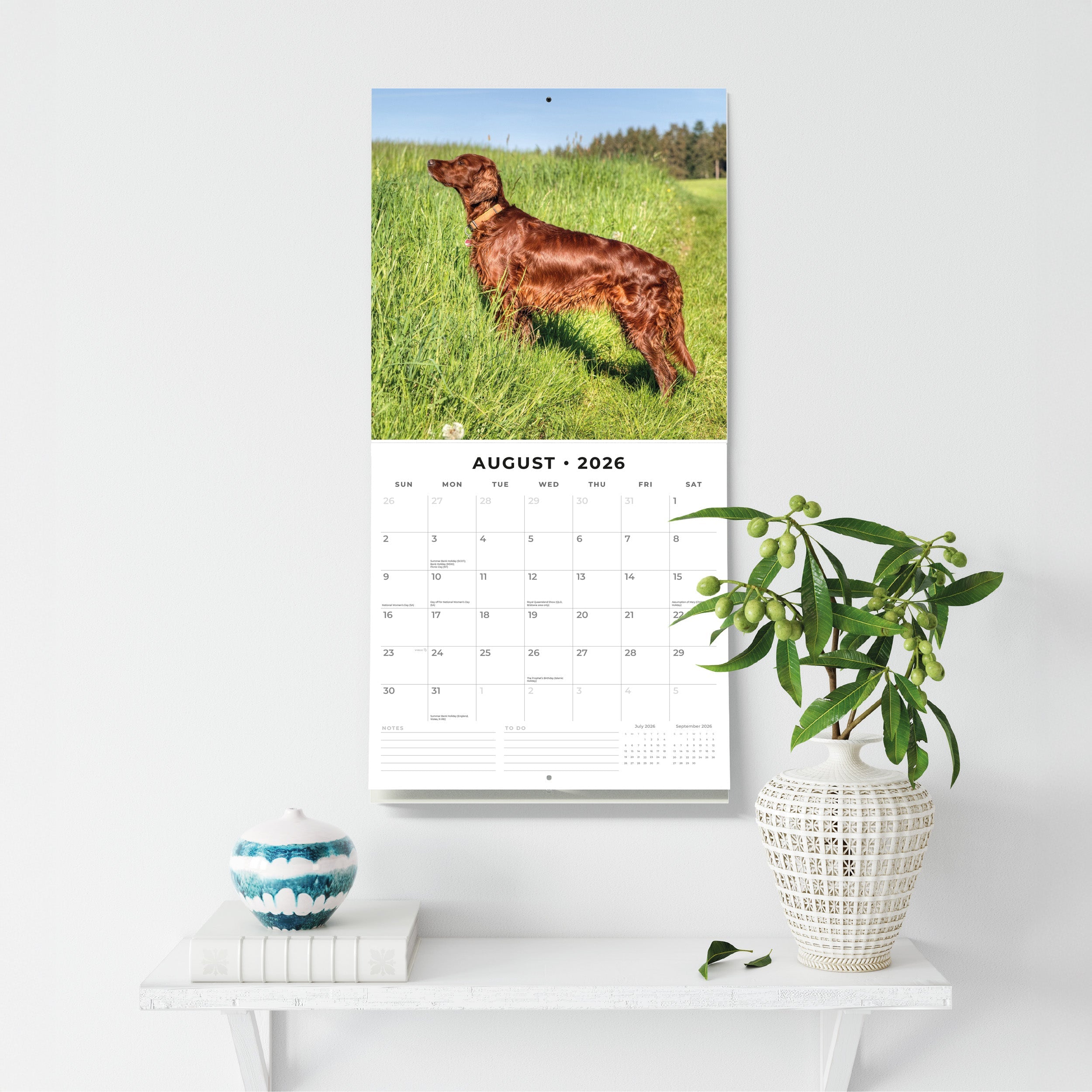 2026 Irish Setters - Square Wall Calendar