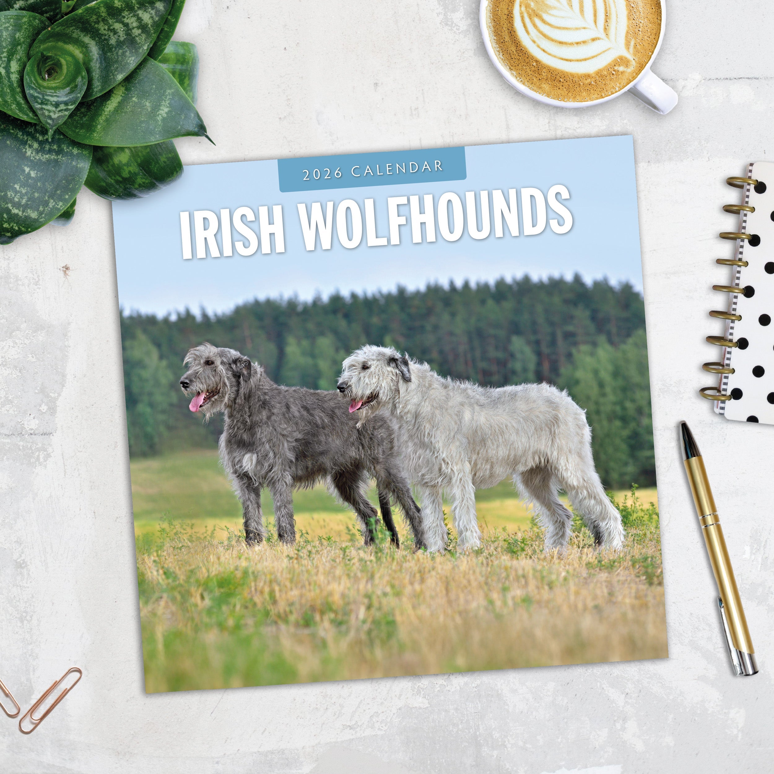 2026 Irish Wolf Hounds - Square Wall Calendar