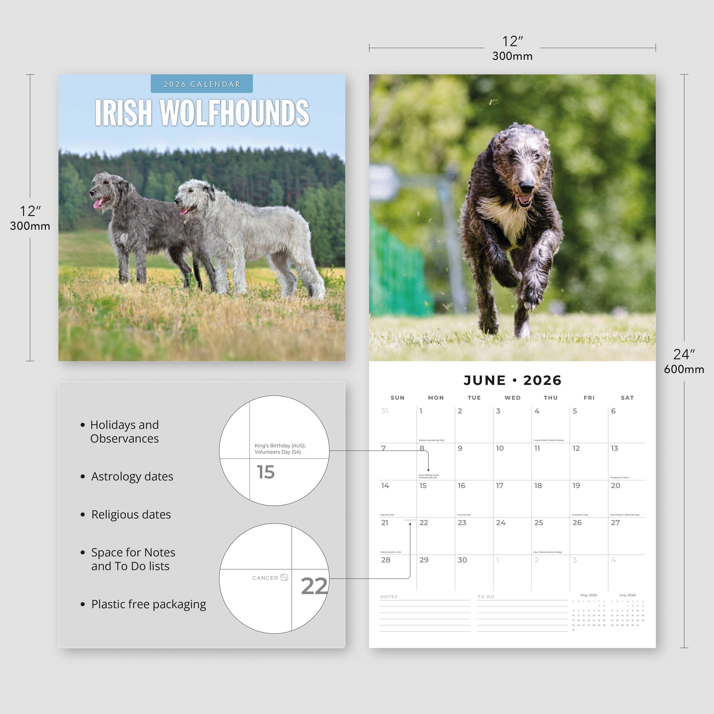 2026 Irish Wolf Hounds - Square Wall Calendar