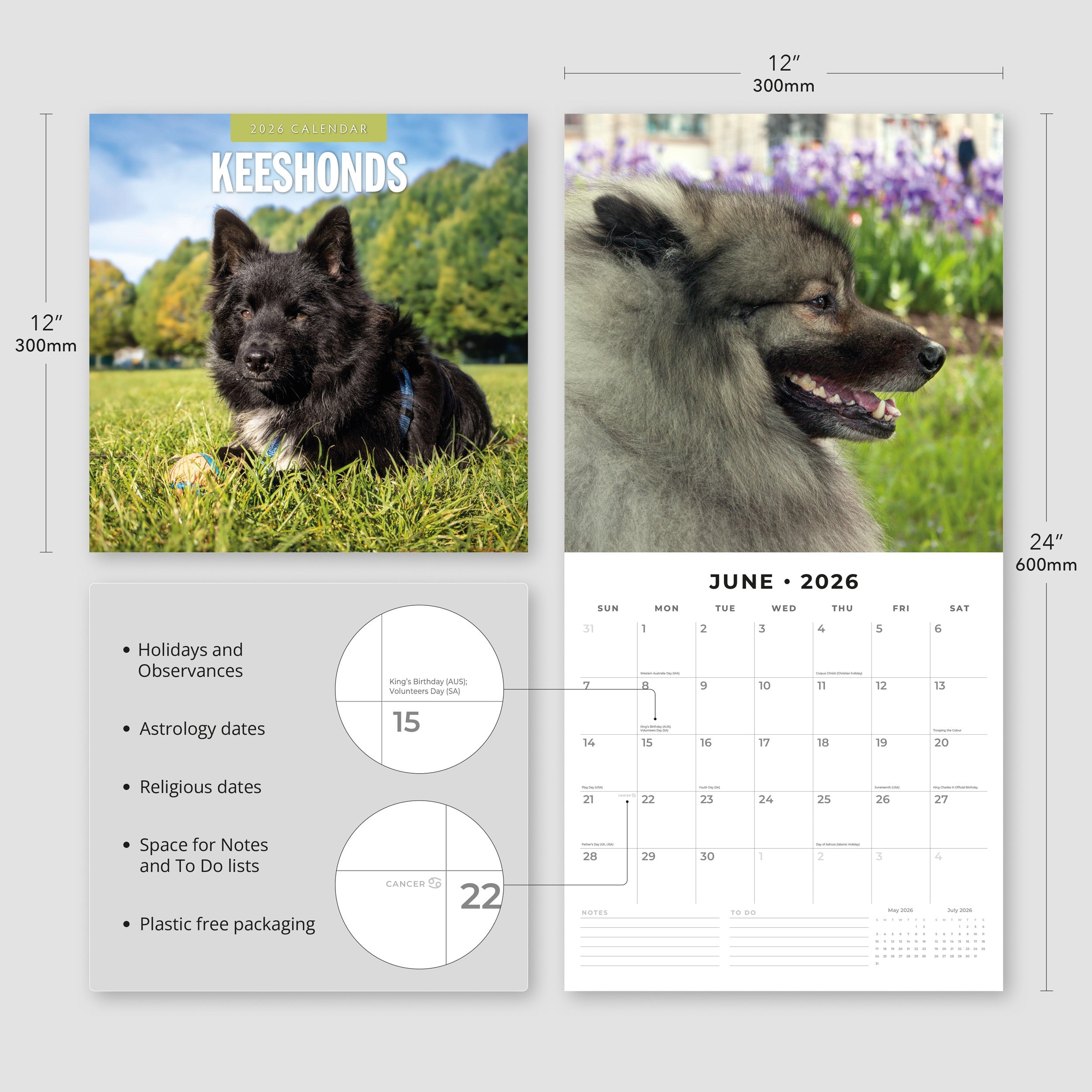 2026 Keeshonds - Square Wall Calendar