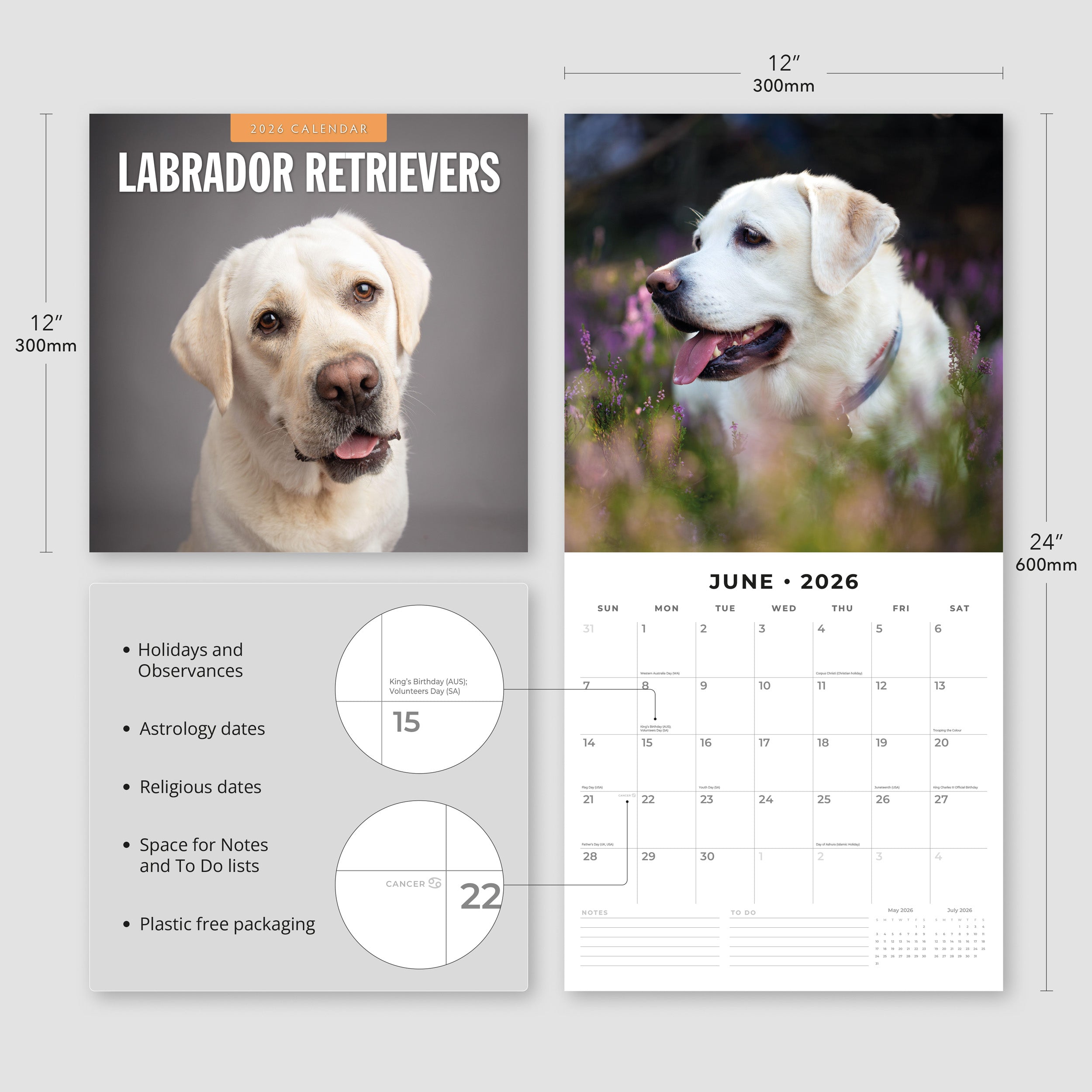 2026 Labrador Retrievers - Square Wall Calendar