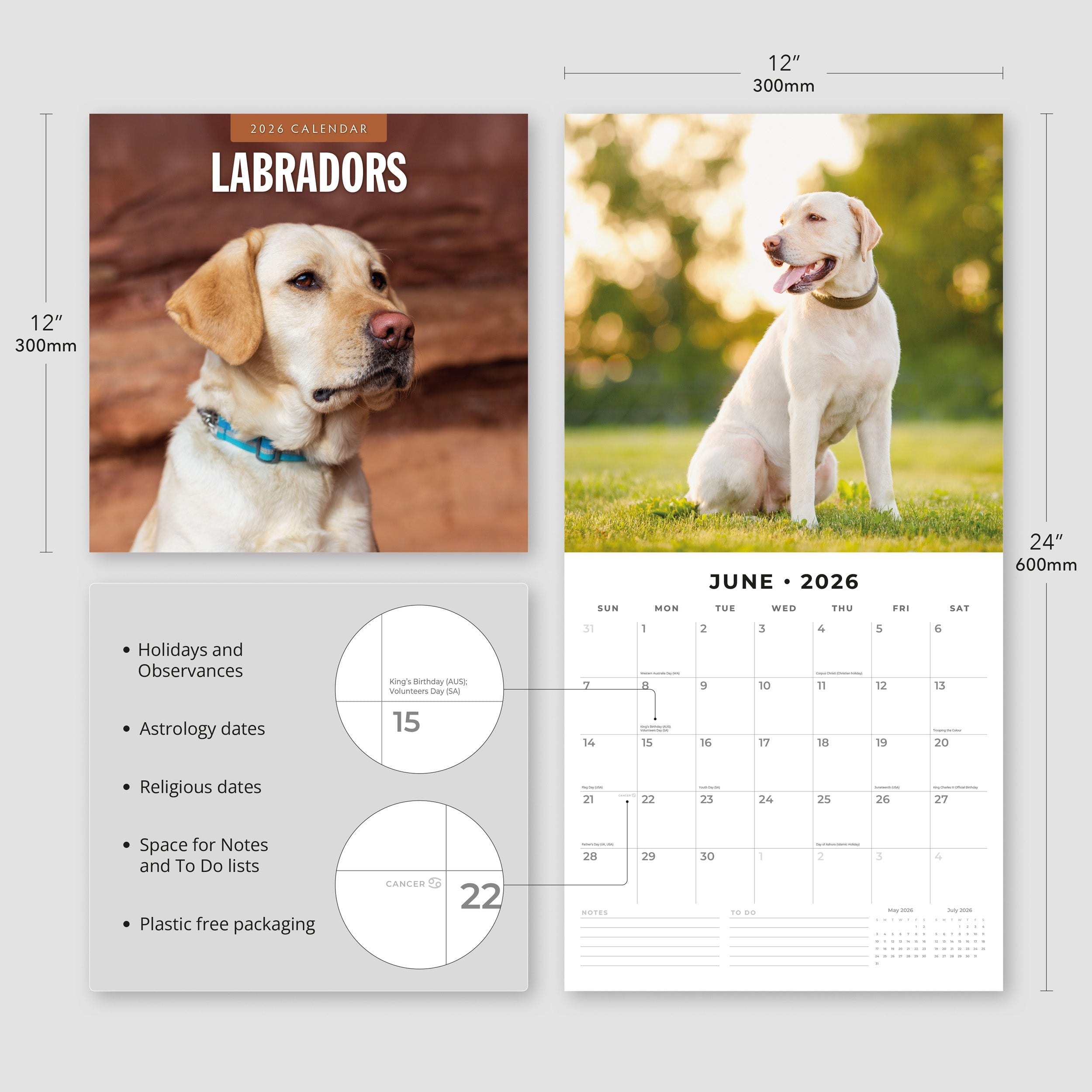 2026 Labradors - Square Wall Calendar
