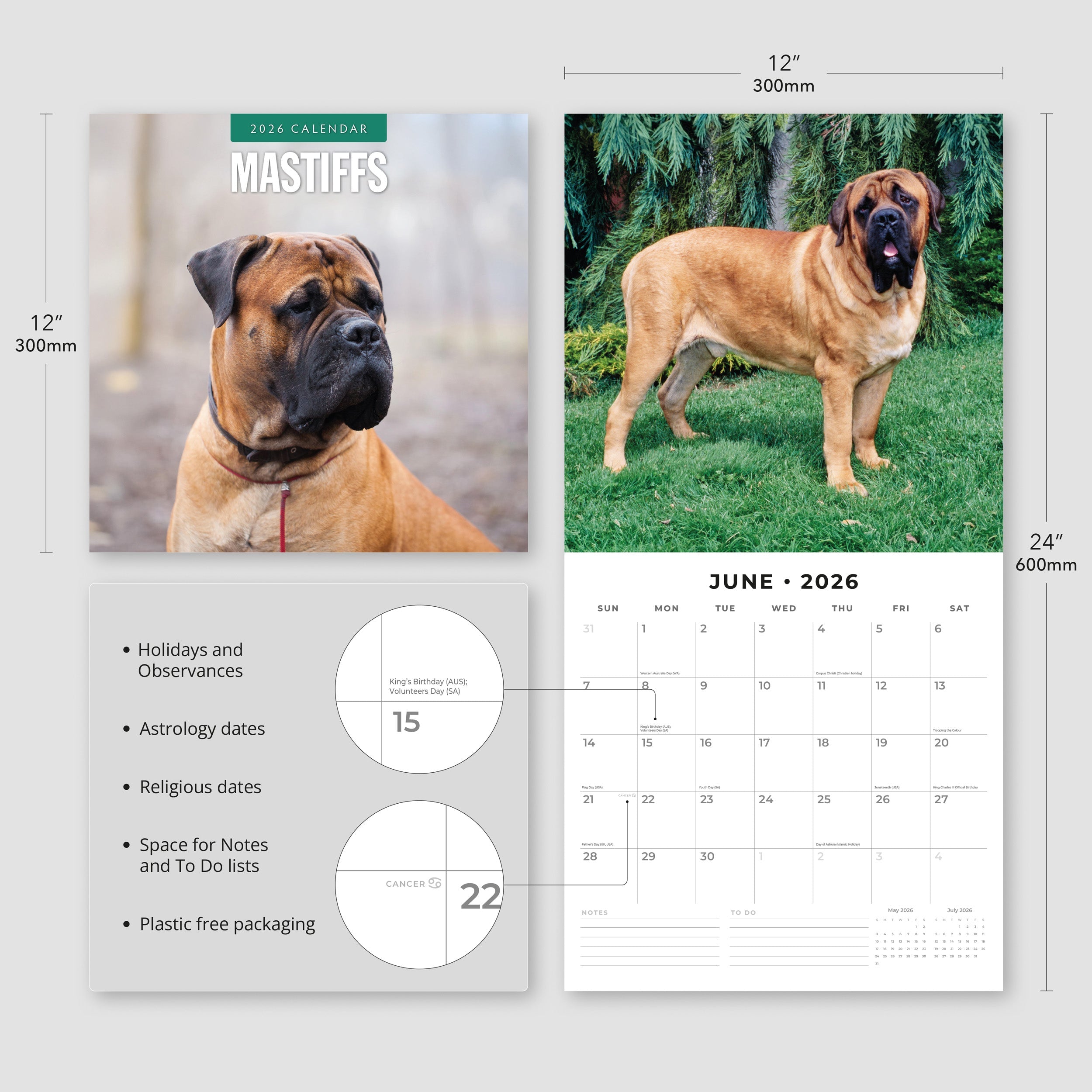 2026 Mastiffs - Square Wall Calendar