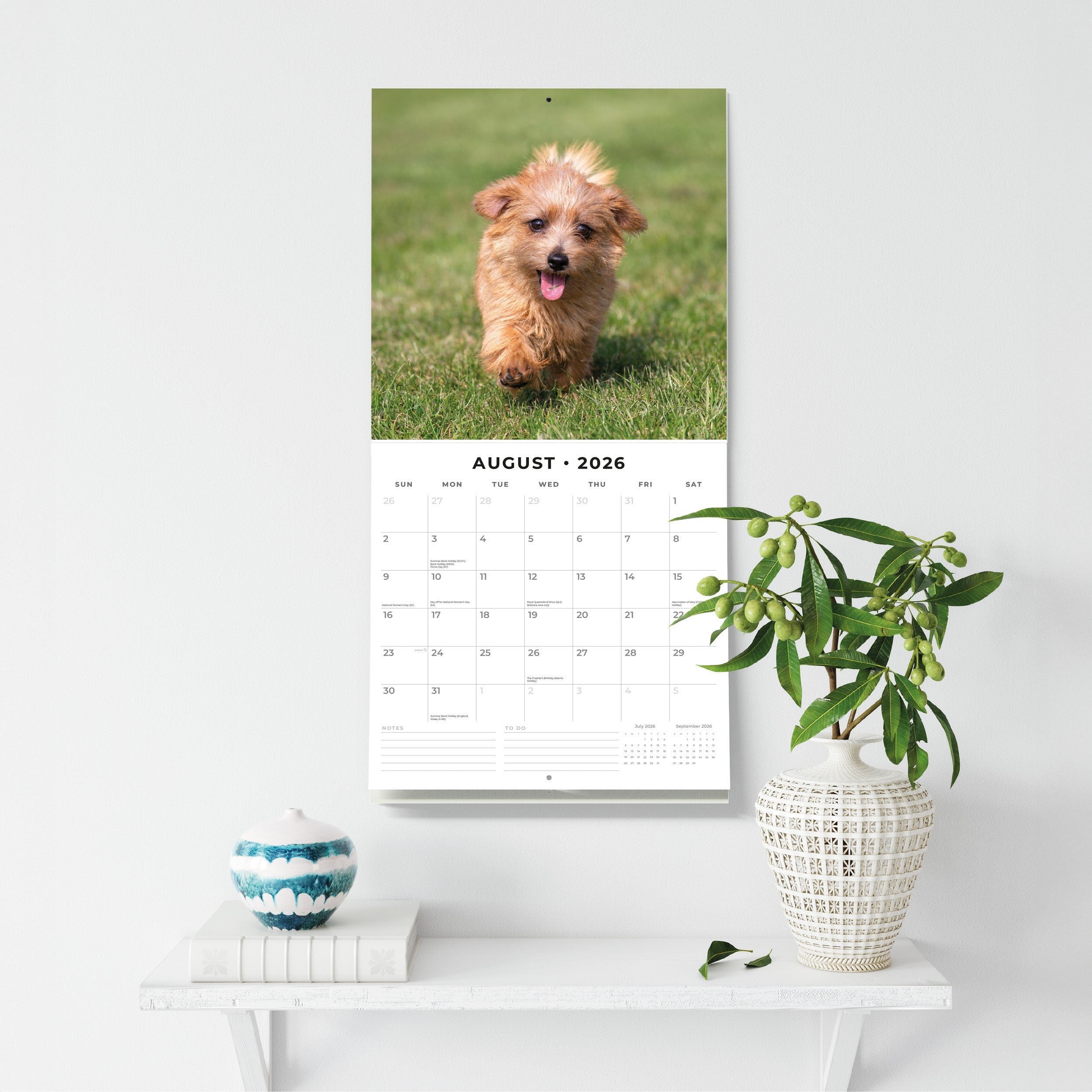2026 Norwich & Norfolk Terriers - Square Wall Calendar