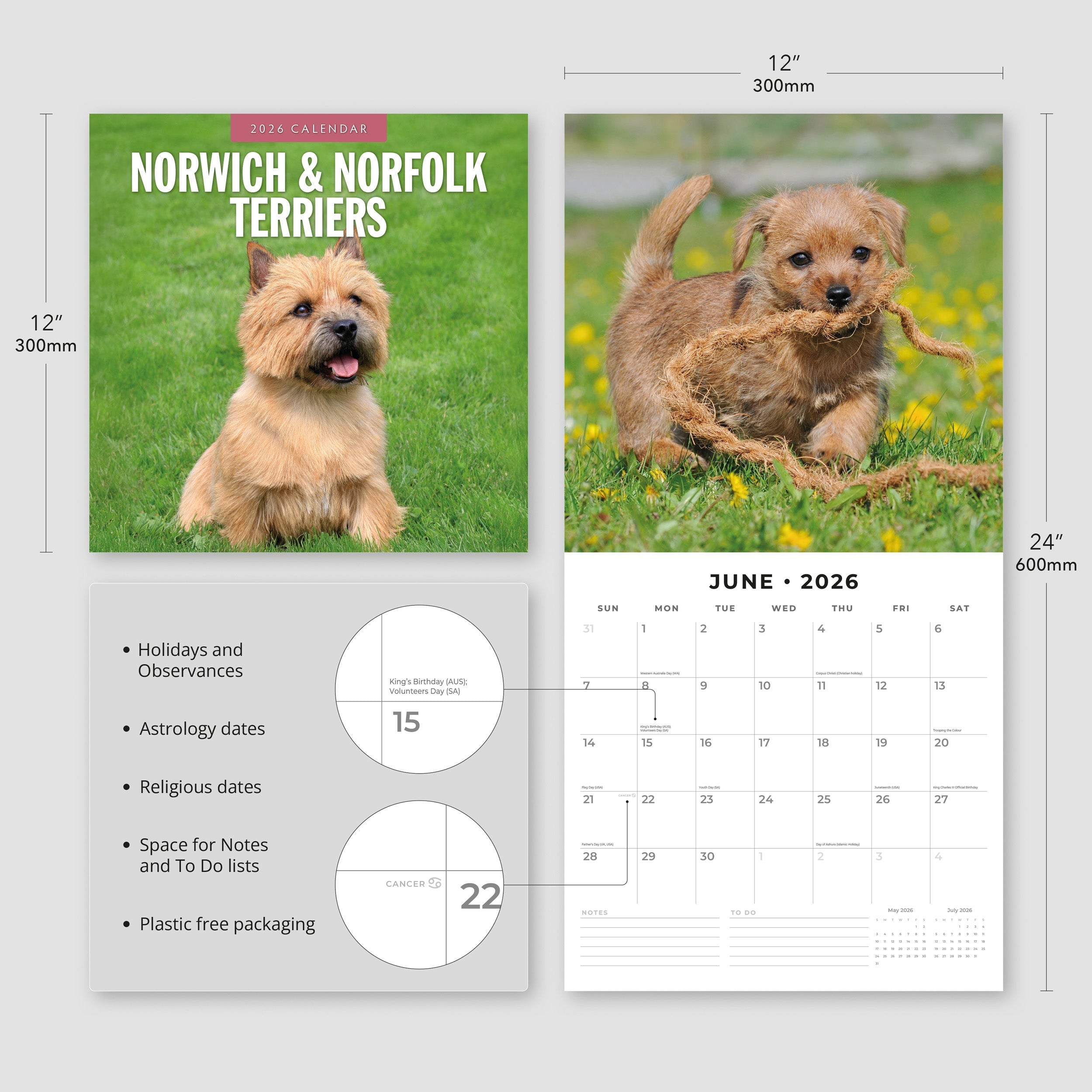 2026 Norwich & Norfolk Terriers - Square Wall Calendar