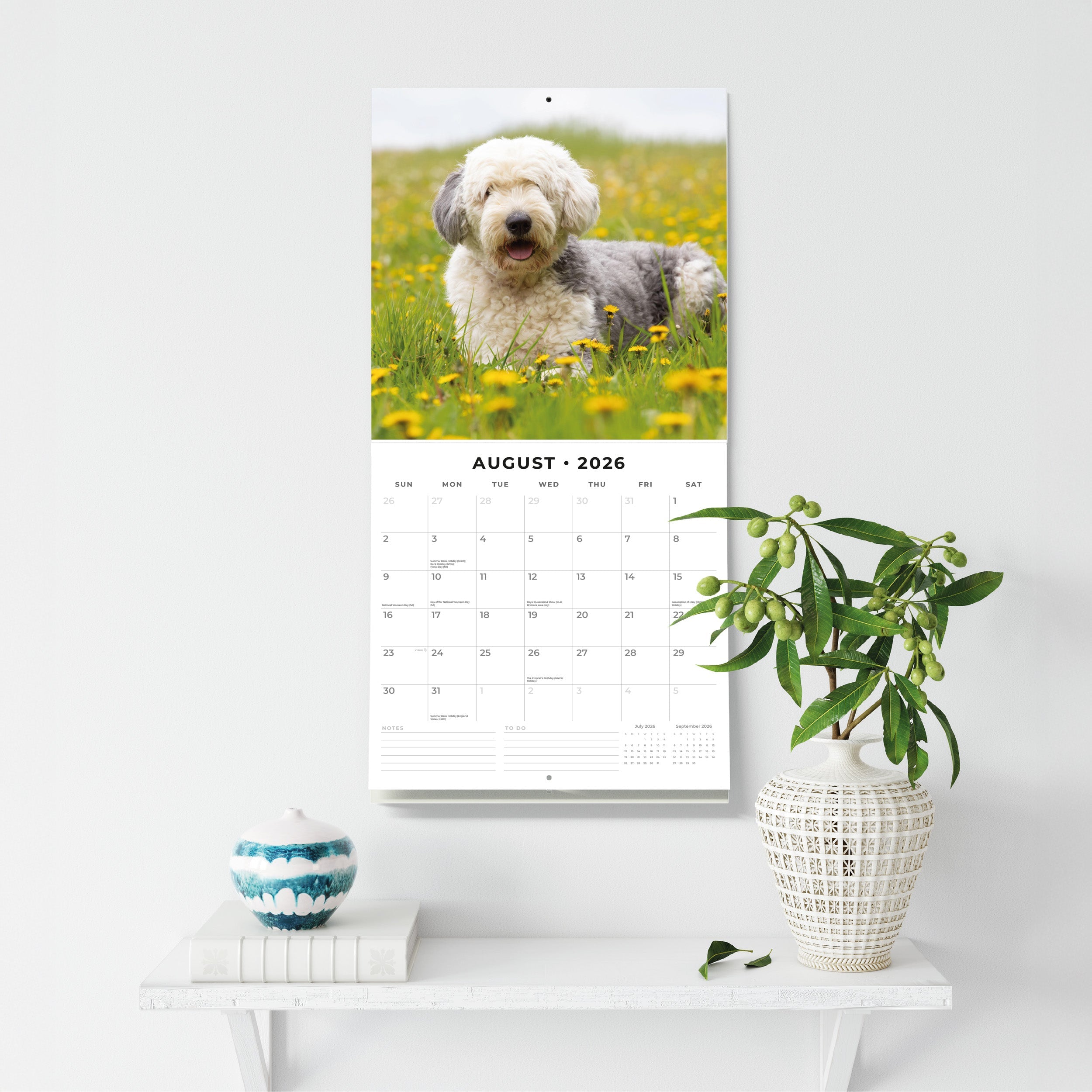 2026 Old English Sheepdogs - Square Wall Calendar