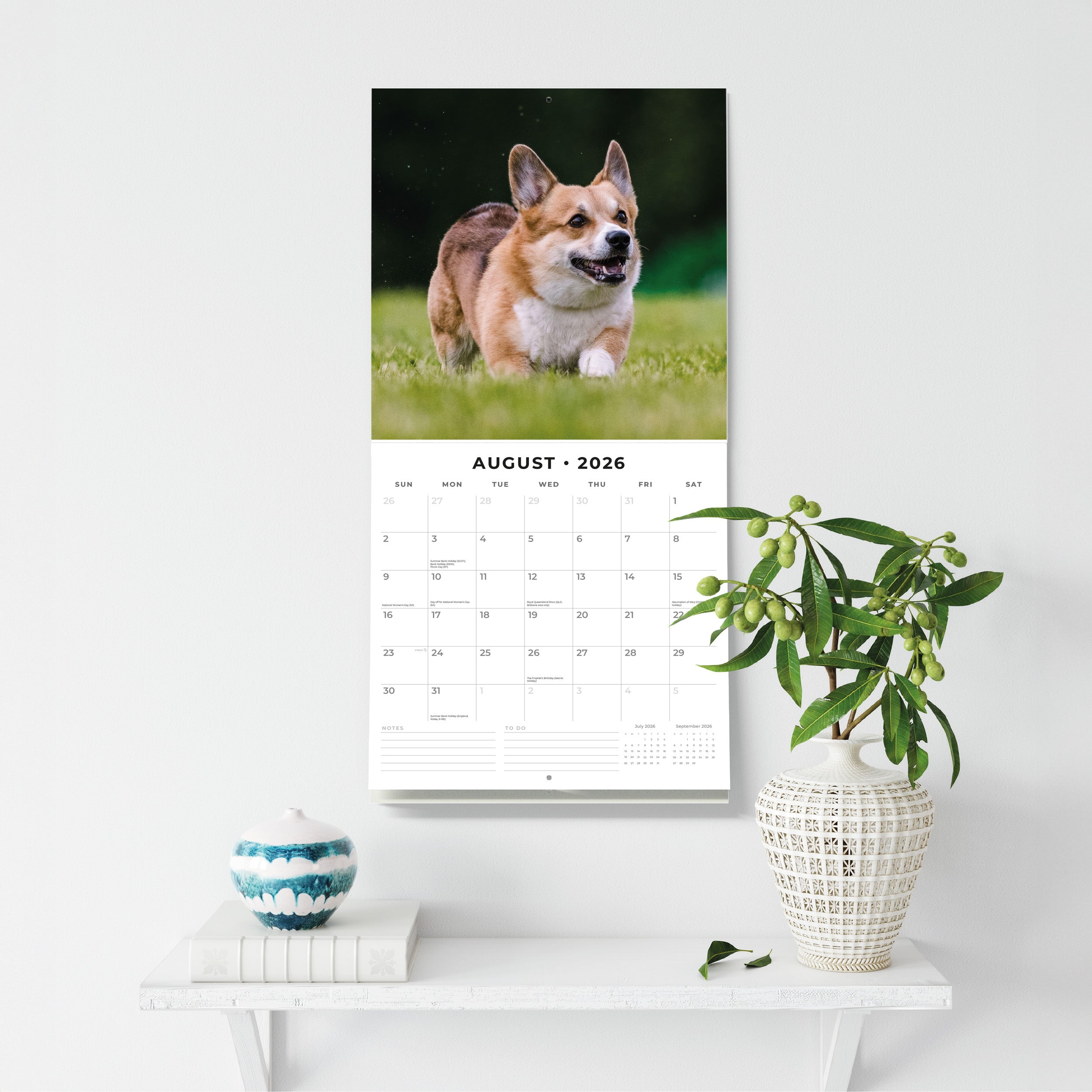 2026 Pembroke Welsh Corgis - Square Wall Calendar