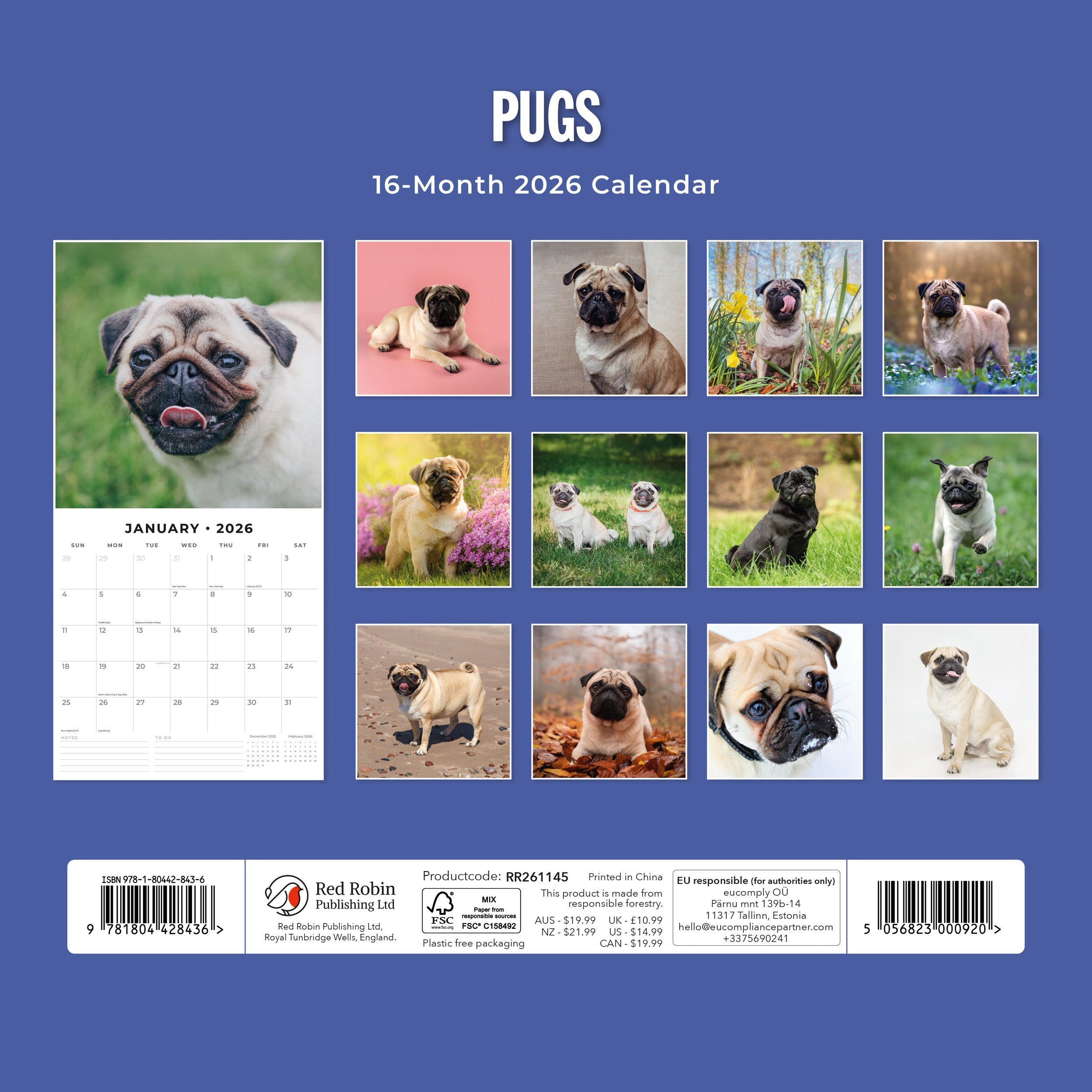 2026 Pugs - Square Wall Calendar
