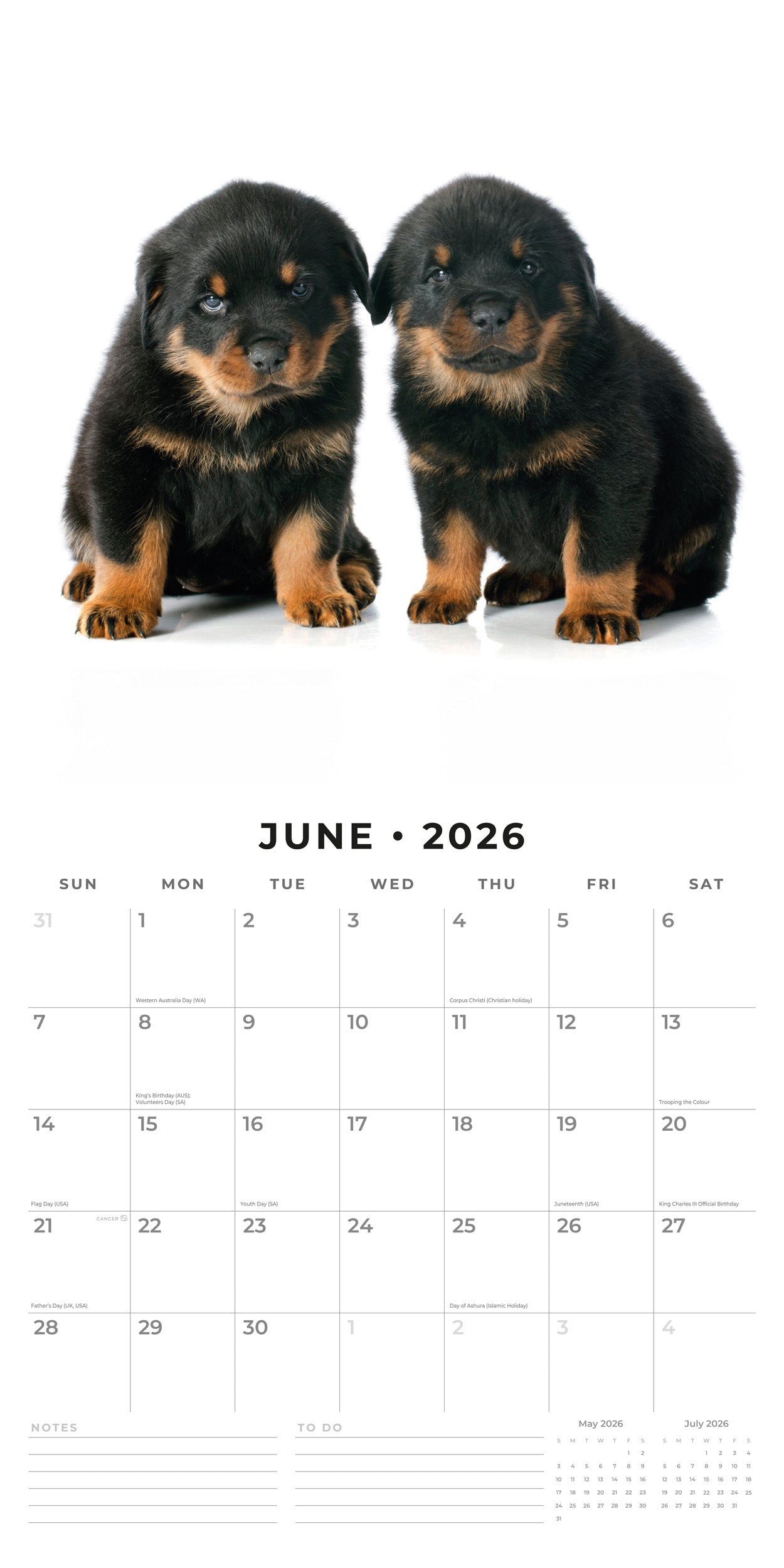 2026 Rottweiler Puppies - Square Wall Calendar