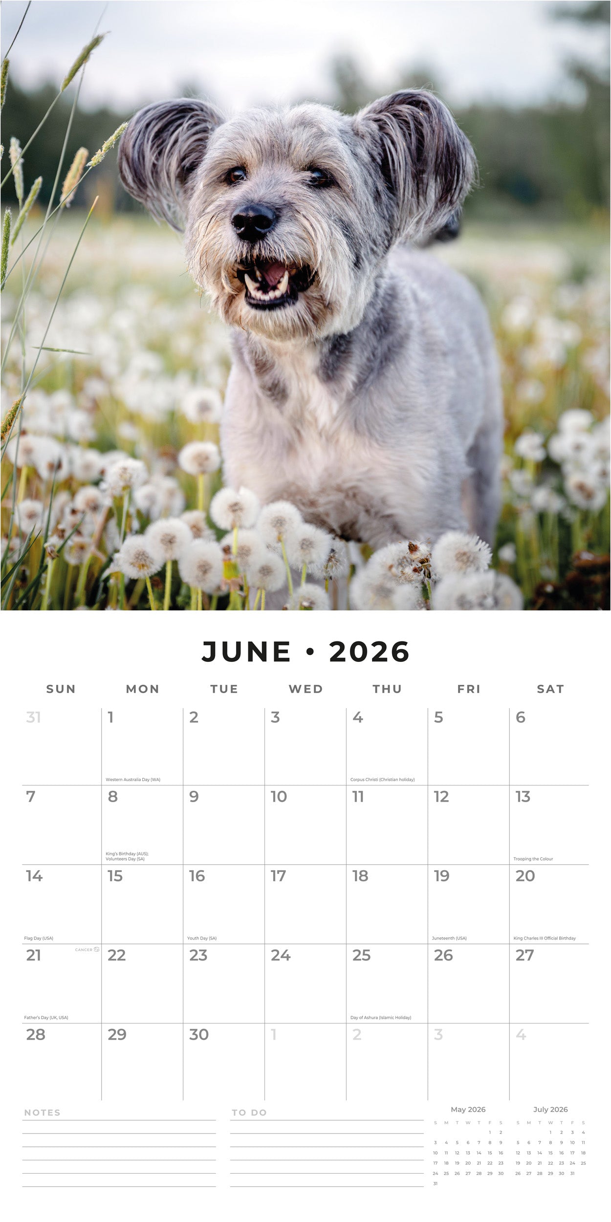 2026 Schnauzer - Square Wall Calendar