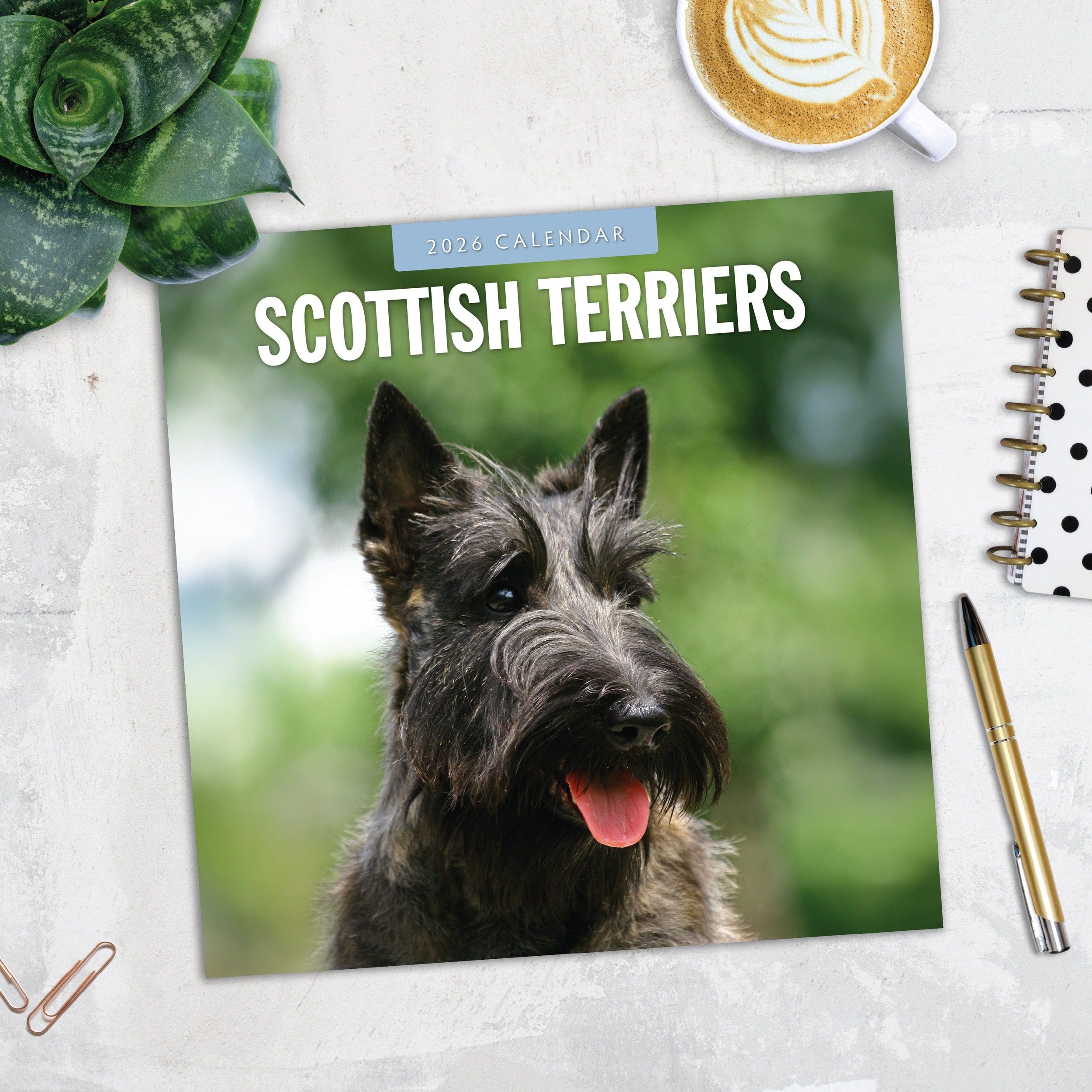 2026 Scottish Terriers - Square Wall Calendar