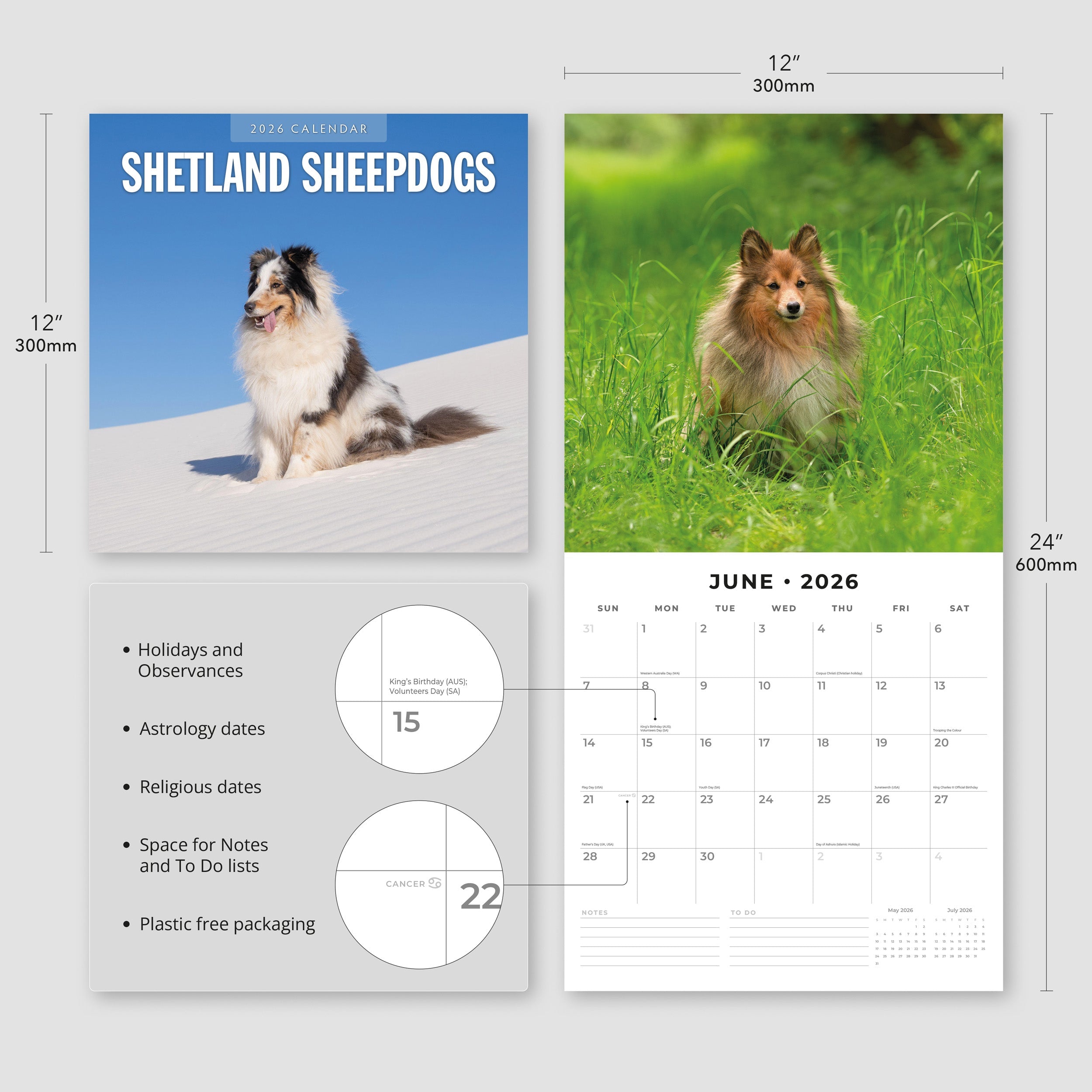 2026 Shetland Sheepdogs - Square Wall Calendar