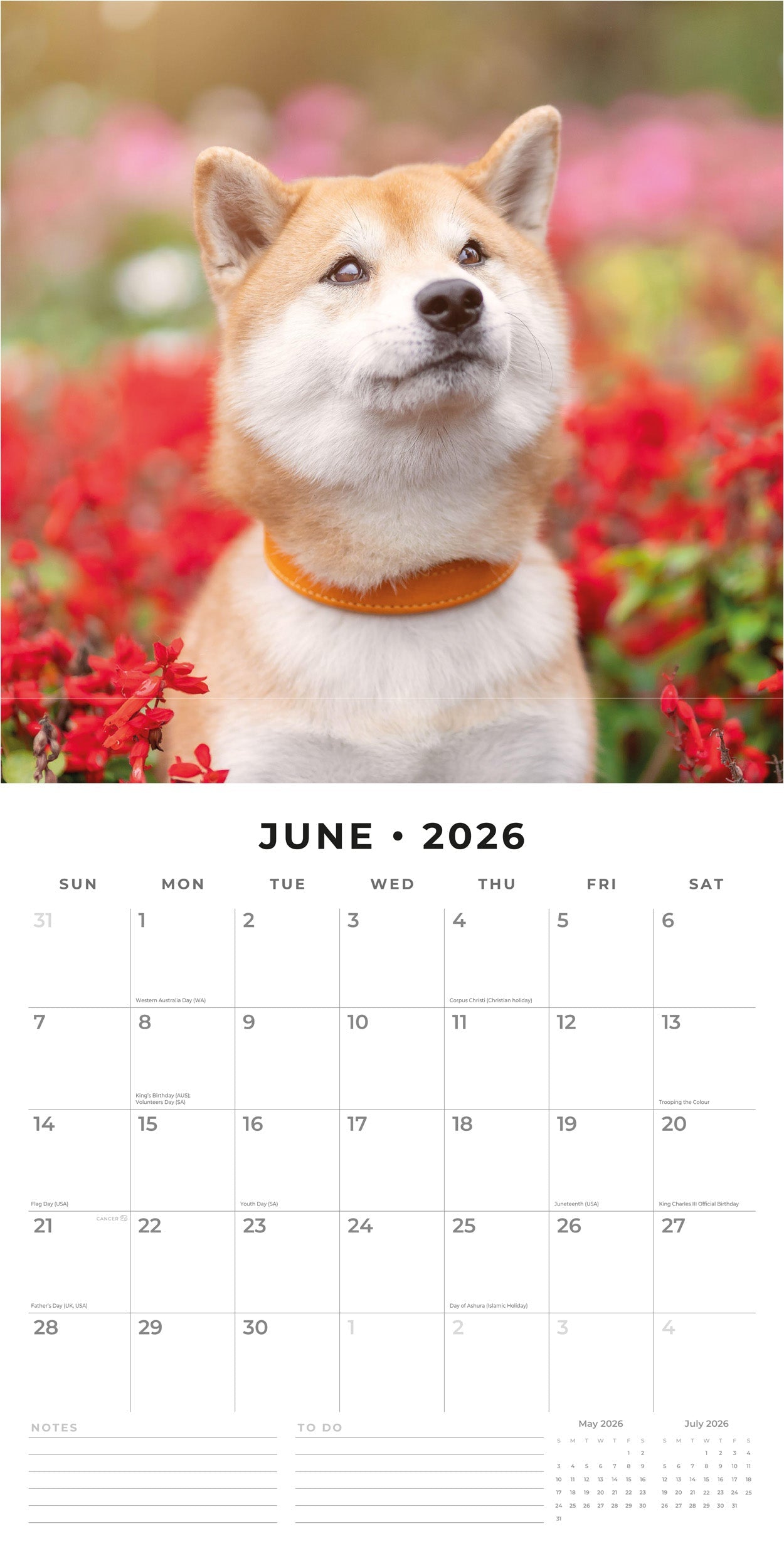 2026 Shiba Inu - Square Wall Calendar