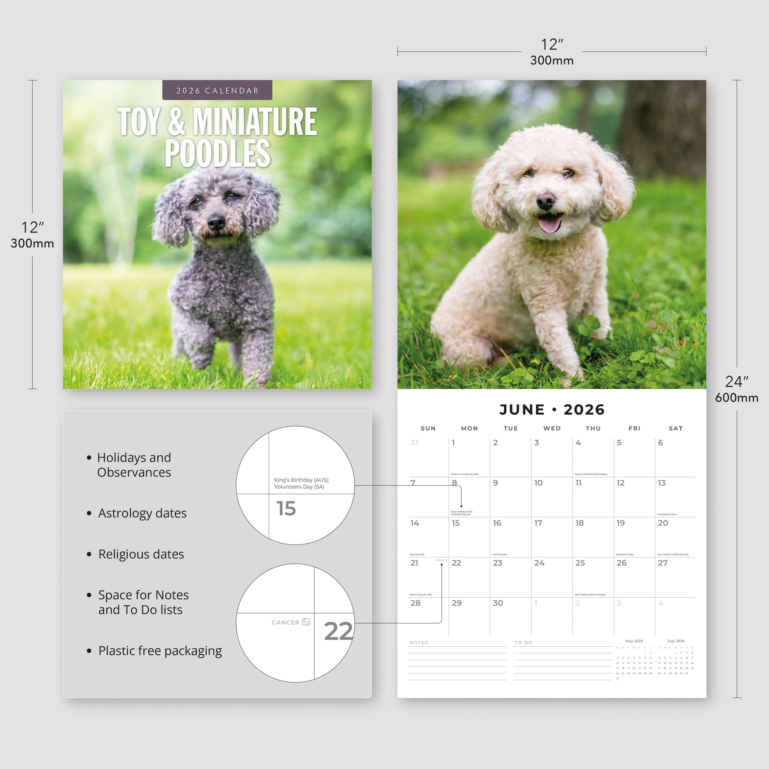 2026 Toy and Miniature Poodles - Square Wall Calendar
