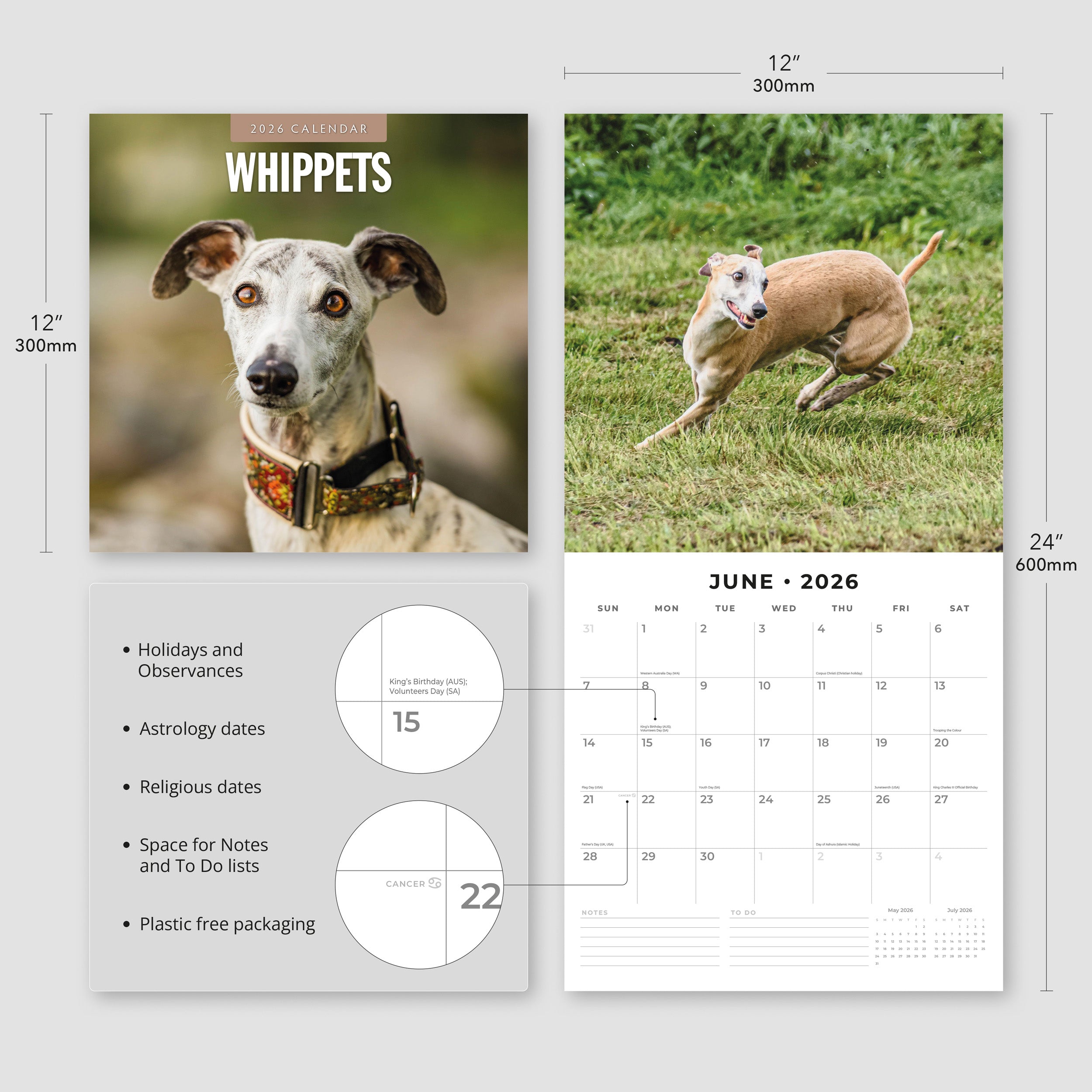 2026 Whippets - Square Wall Calendar