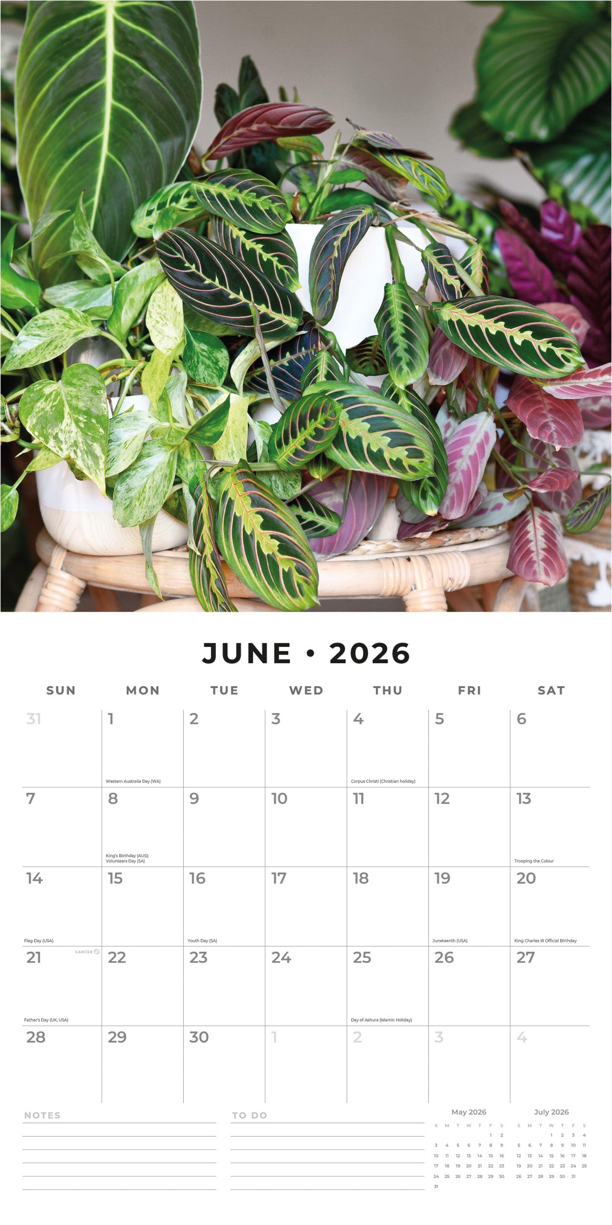 2026 House Plants - Square Wall Calendar
