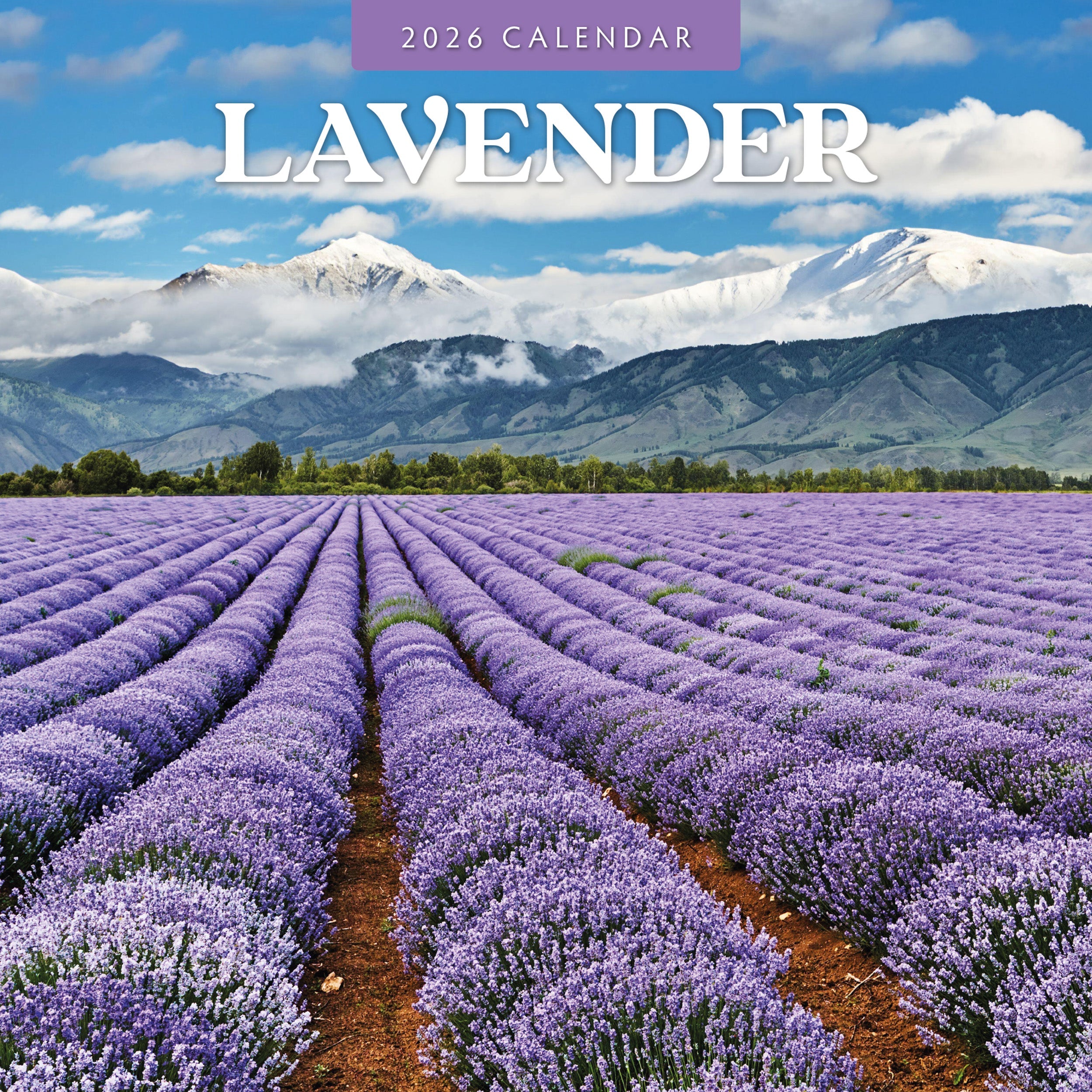 2026 Lavender - Square Wall Calendar