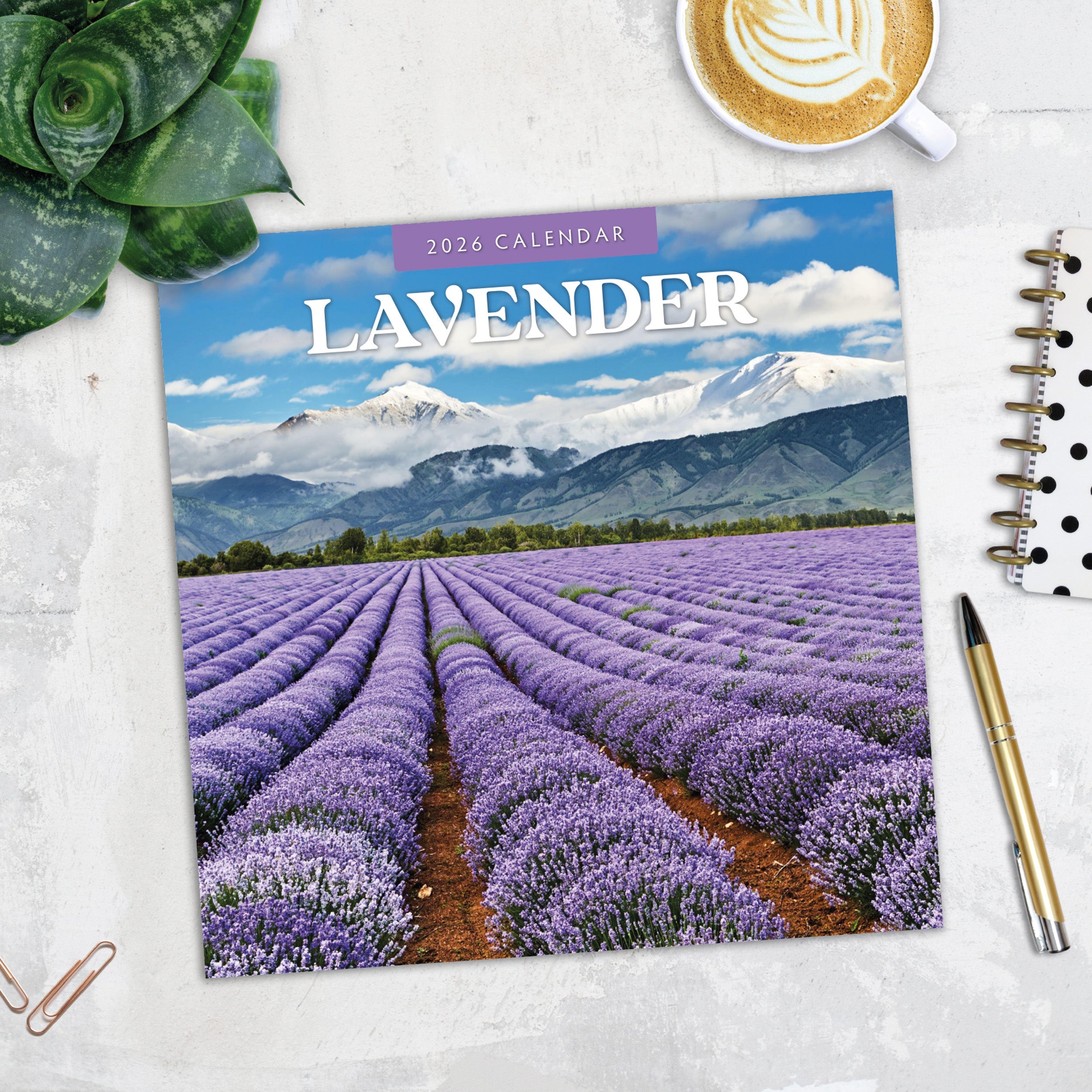 2026 Lavender - Square Wall Calendar