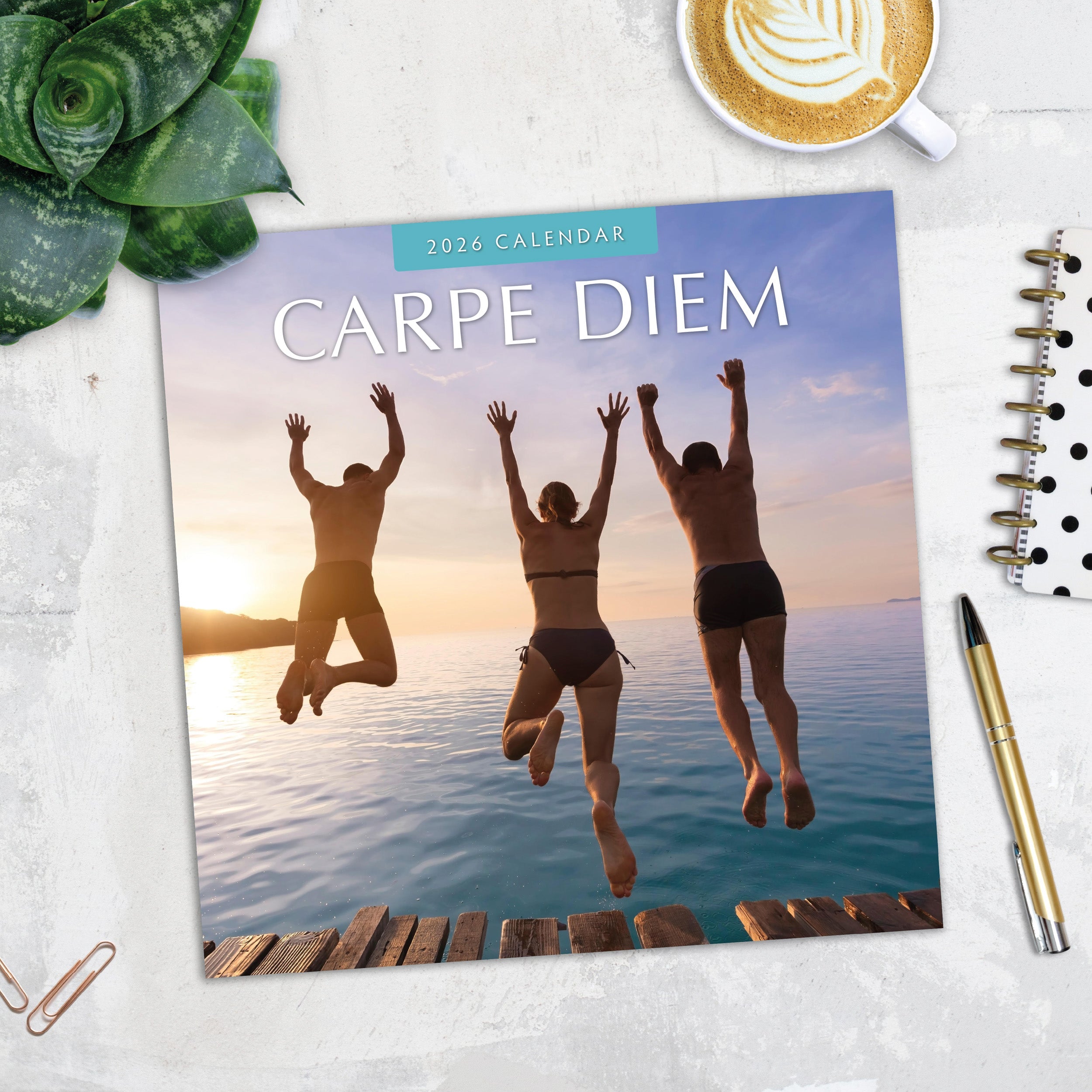 2026 Carpe Diem - Square Wall Calendar