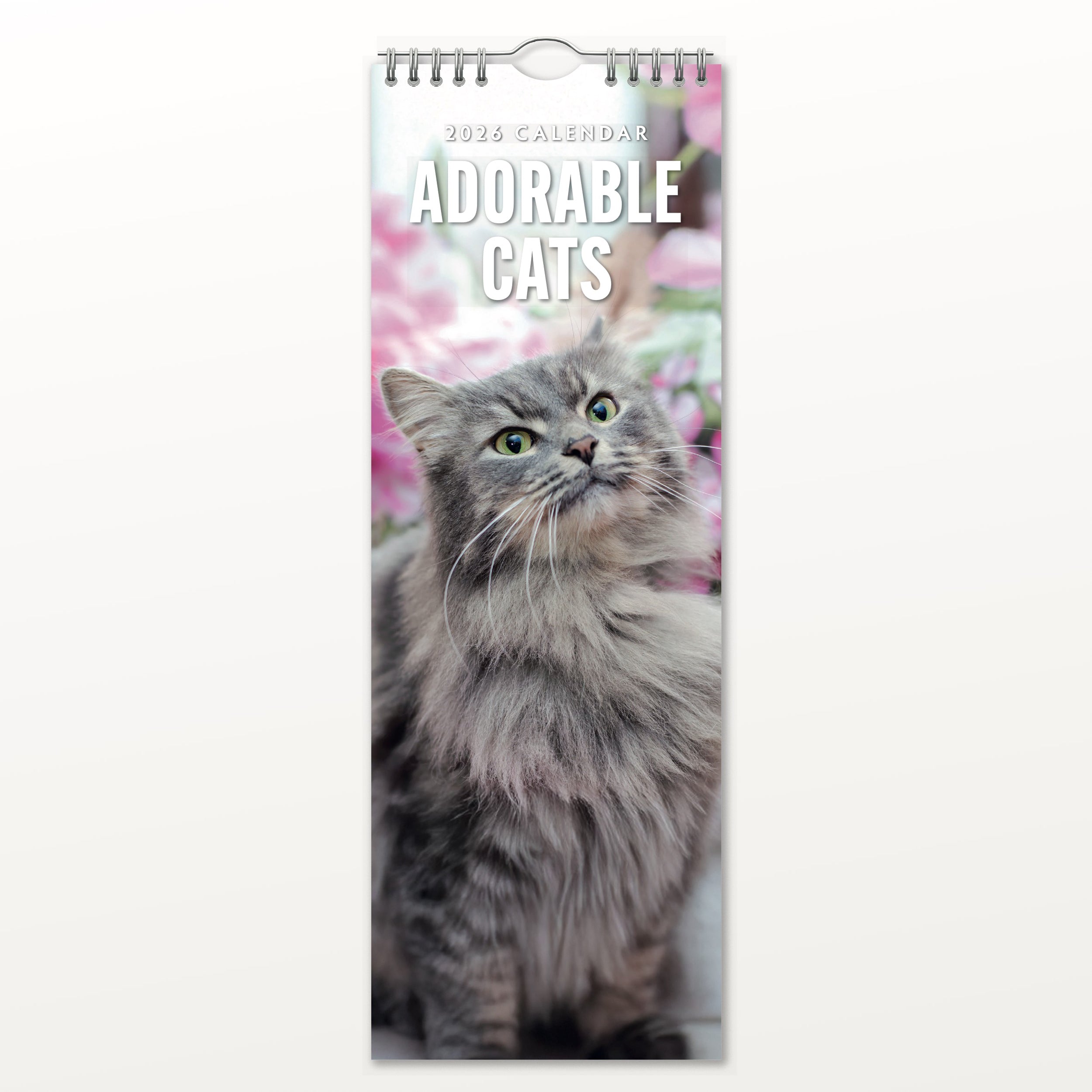 2026 Adorable Cats - Slim Wall Calendar