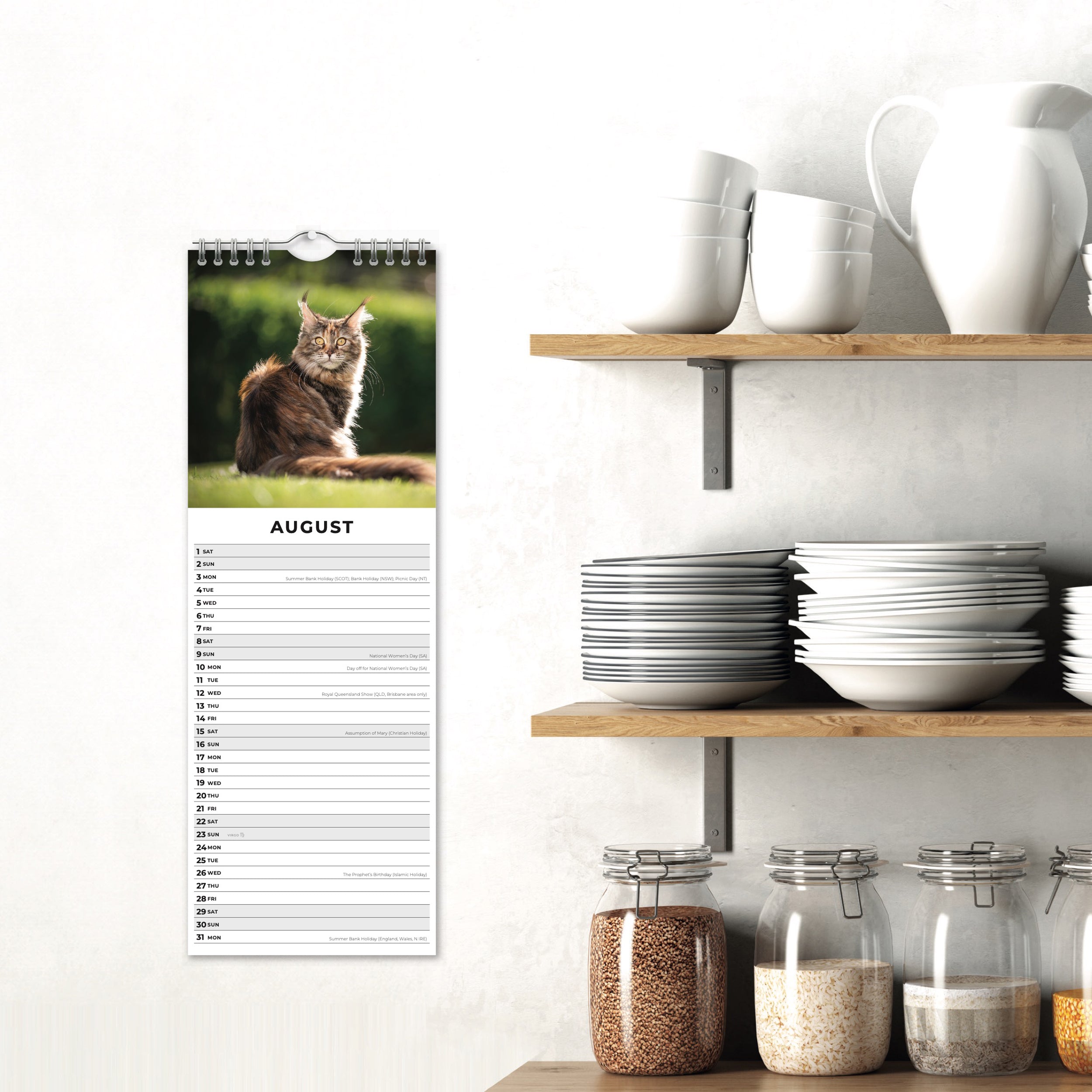 2026 Maine Coon Cats - Slim Wall Calendar