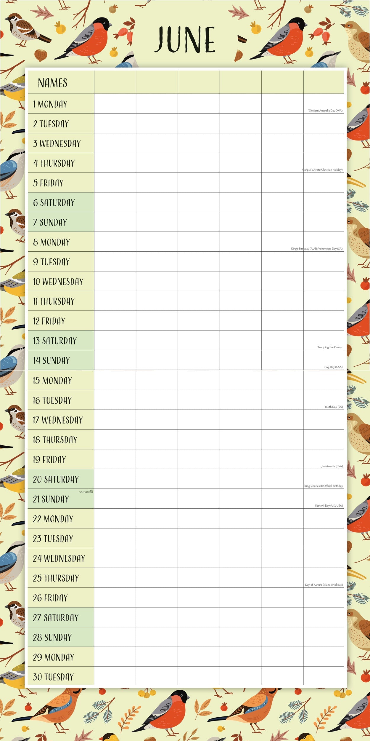 2026 Family Organiser - Birdsong - Square Wall Calendar