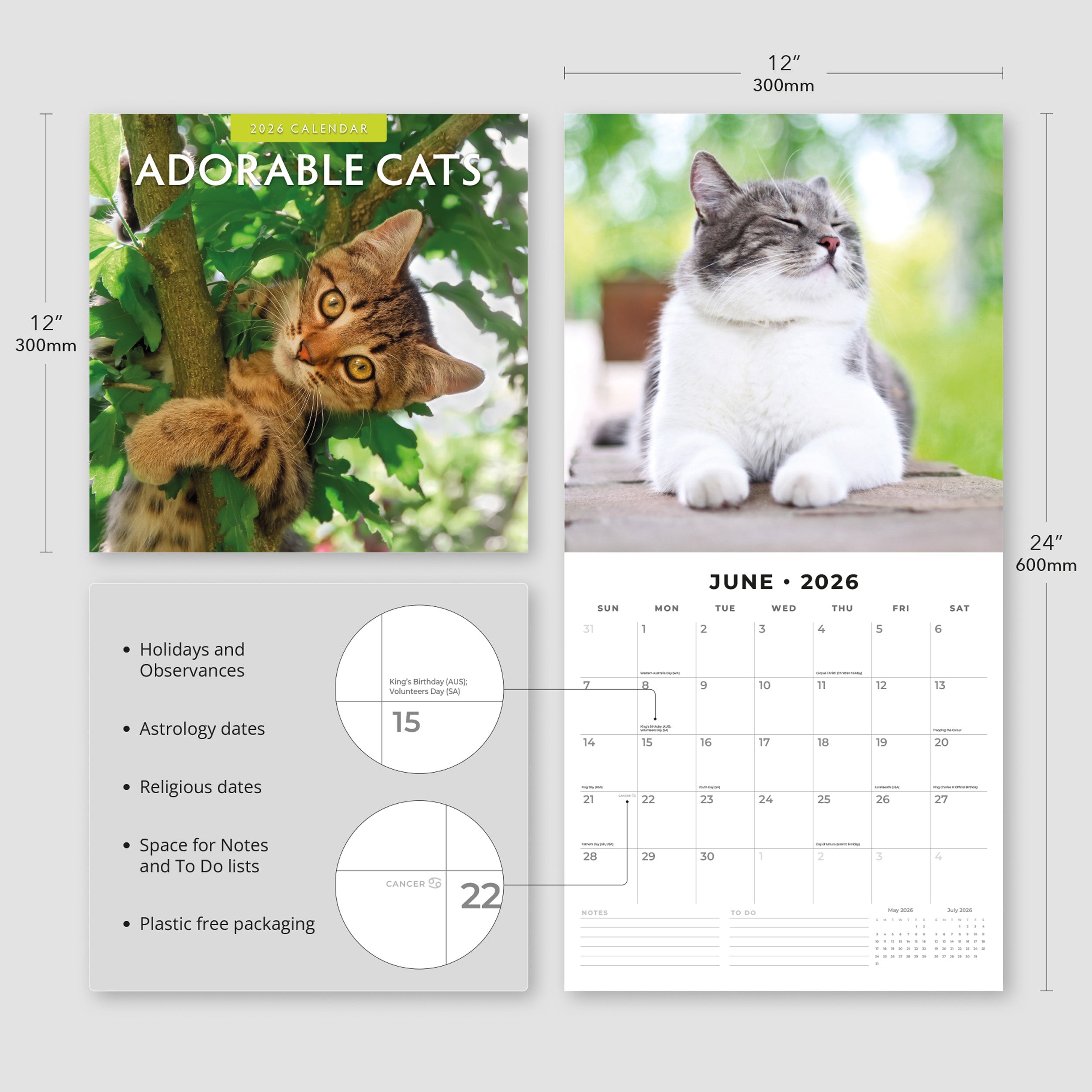 2026 Adorable Cats - Square Wall Calendar