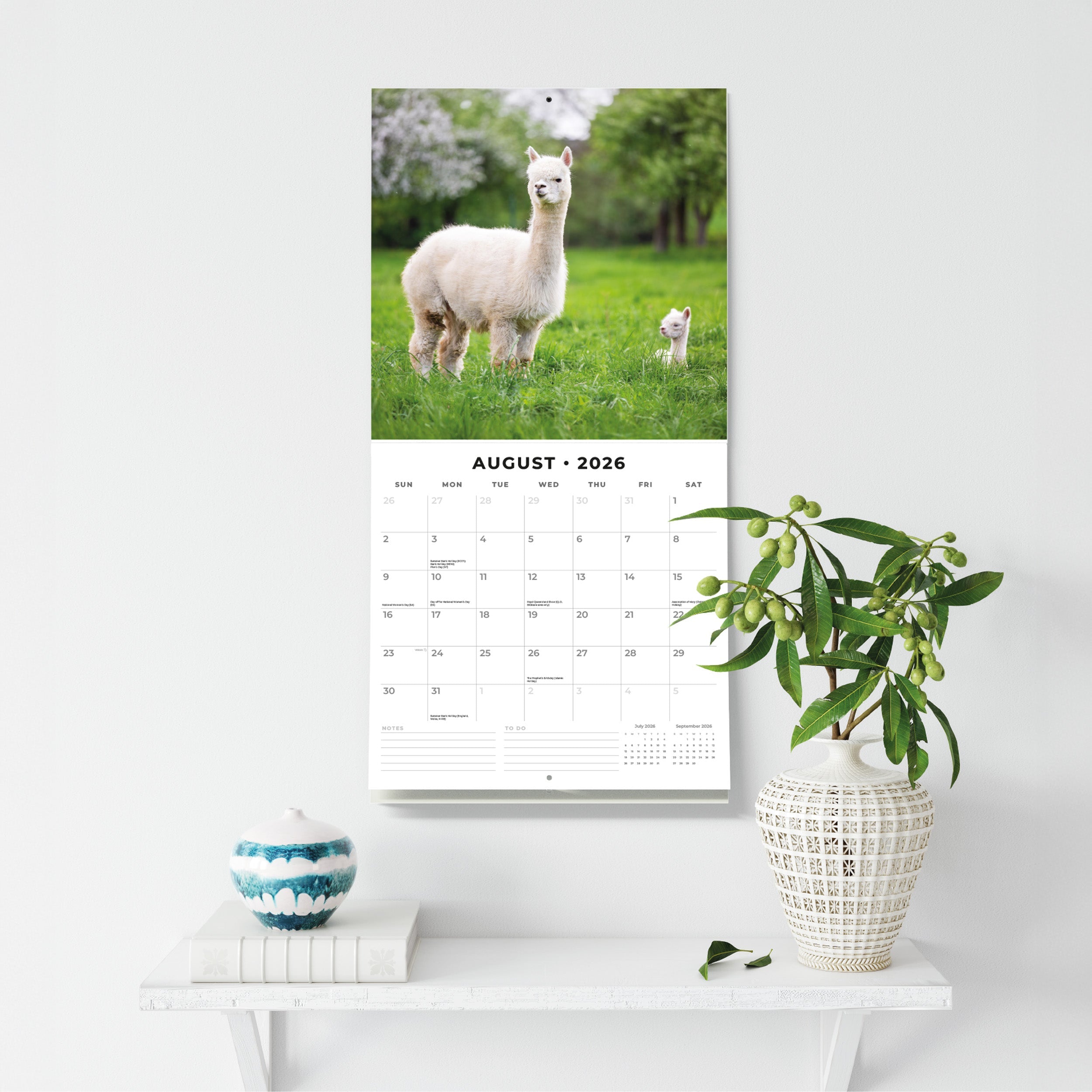 2026 Alpacas - Square Wall Calendar