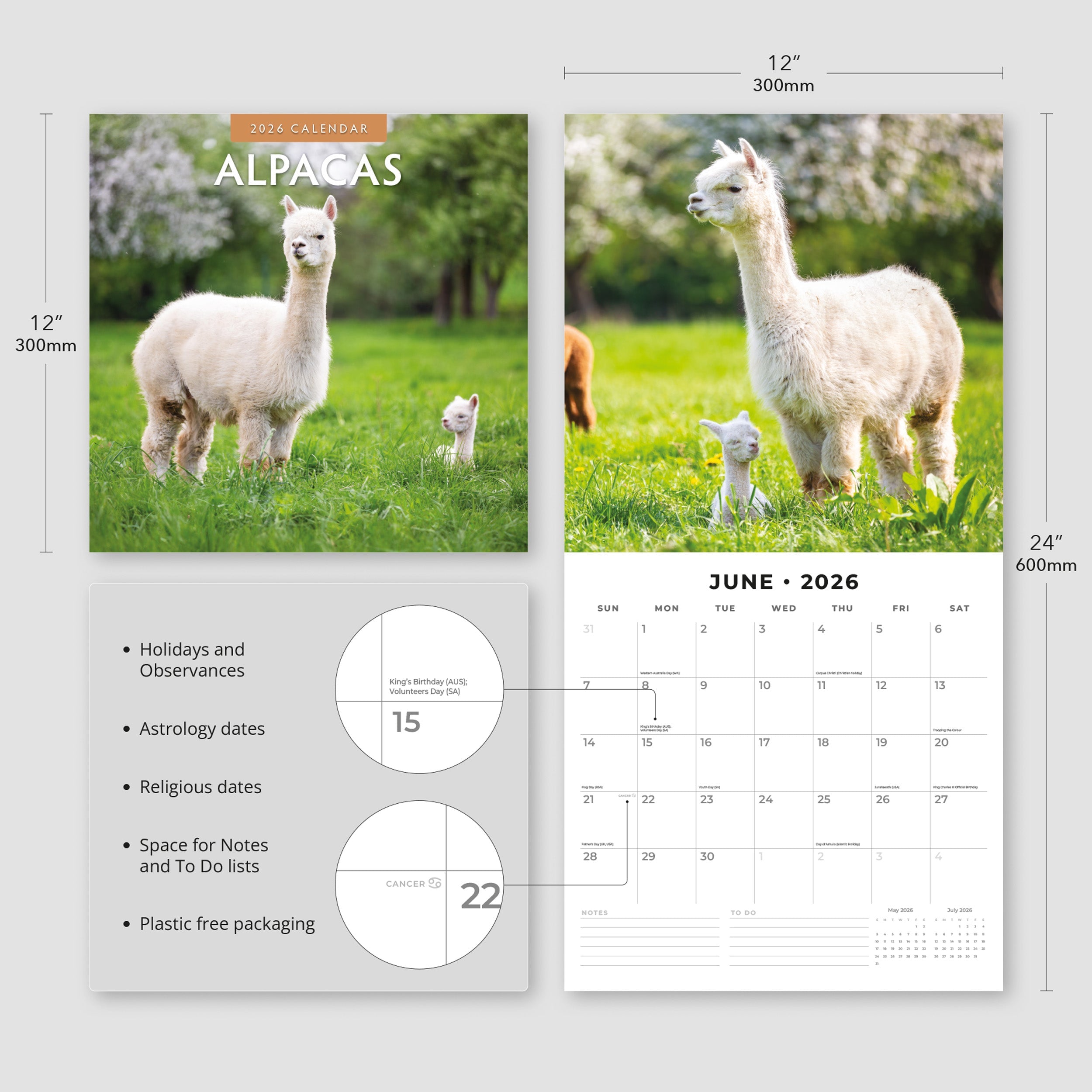 2026 Alpacas - Square Wall Calendar