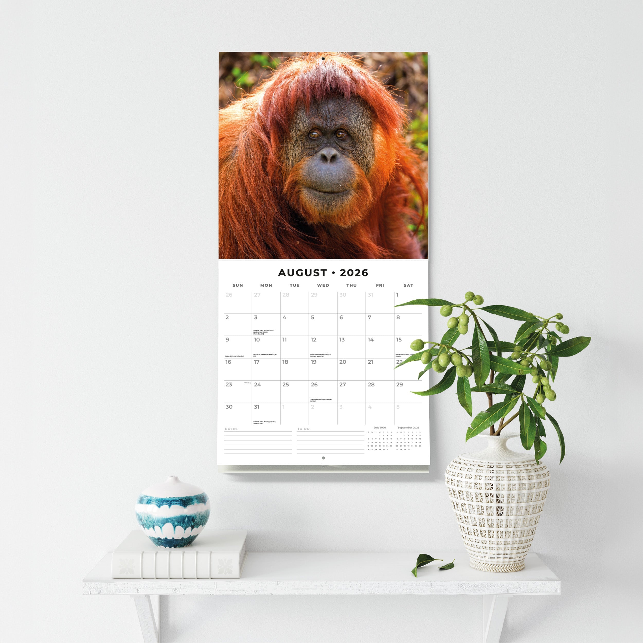 2026 Apes - Square Wall Calendar