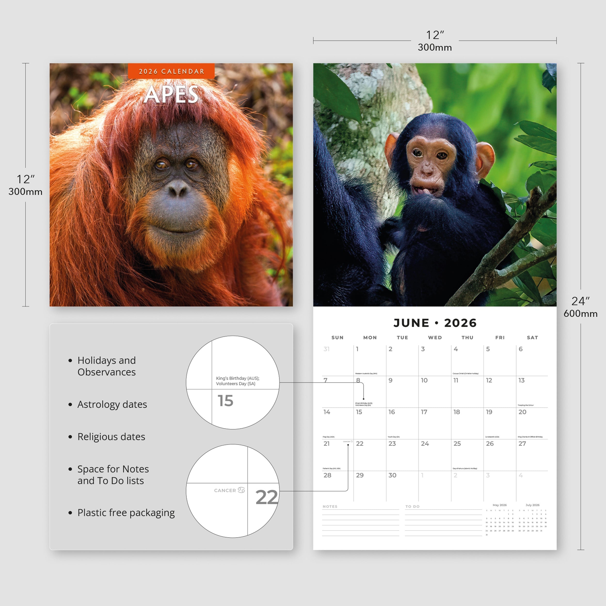 2026 Apes - Square Wall Calendar