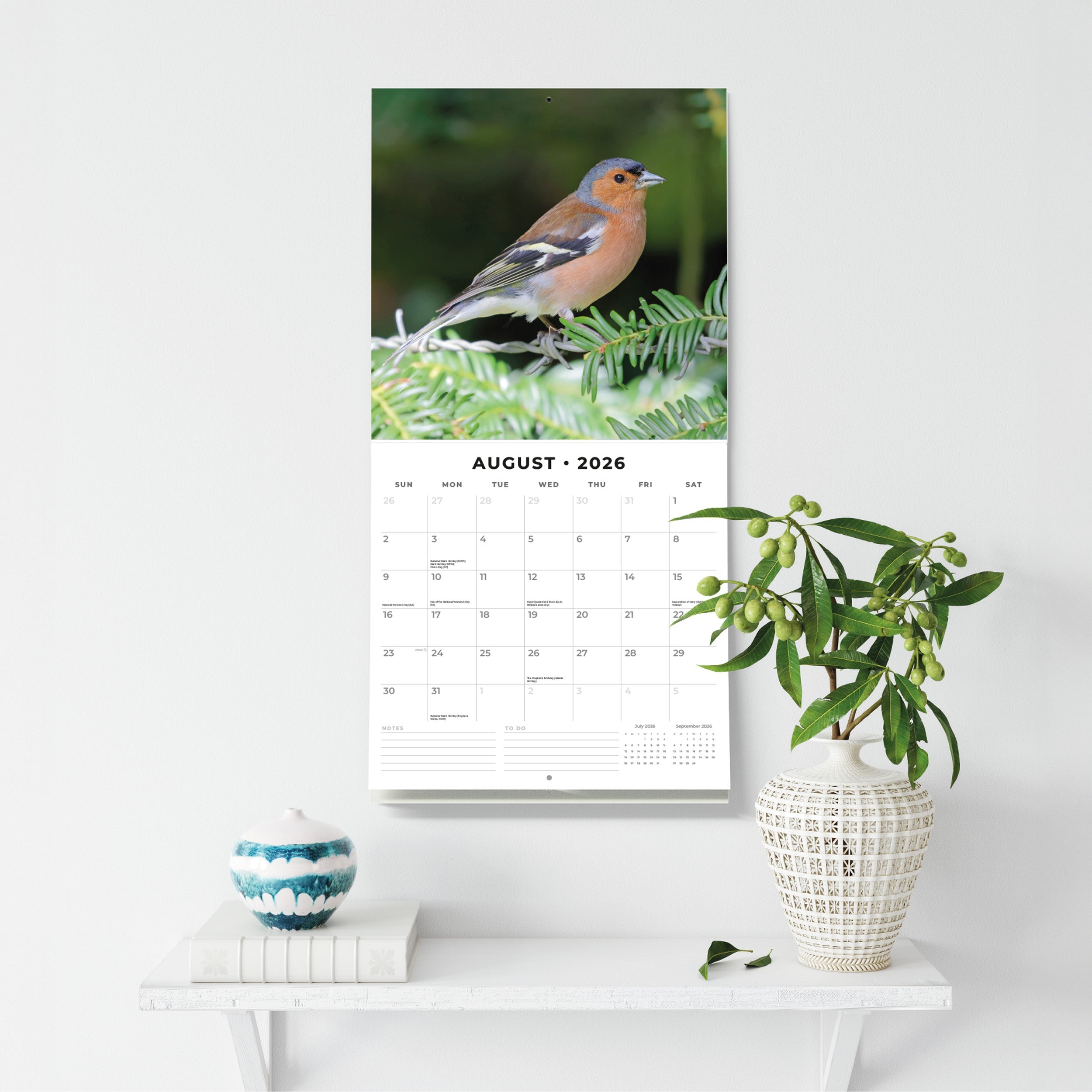 2026 Birds - Square Wall Calendar