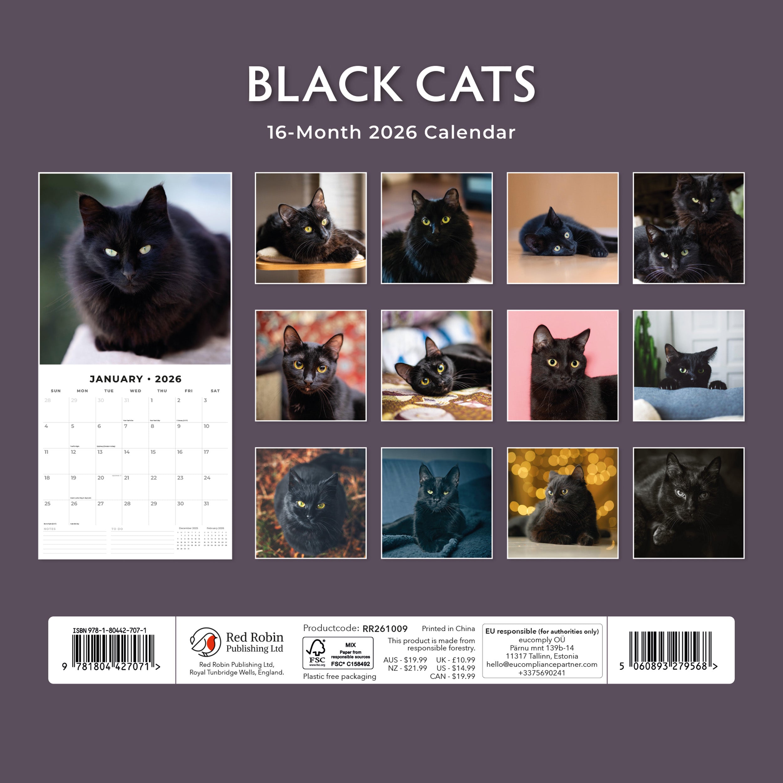 2026 Black Cats - Square Wall Calendar