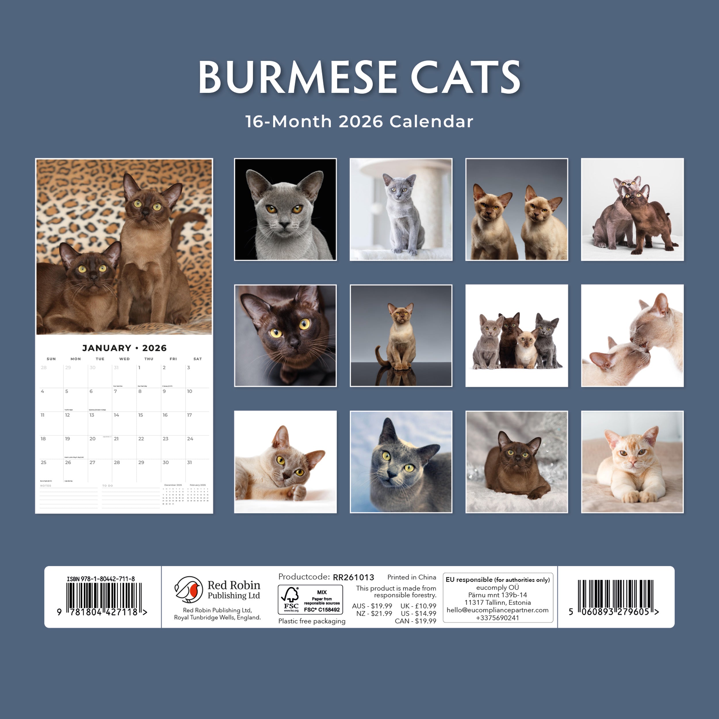 2026 Burmese Cats - Square Wall Calendar