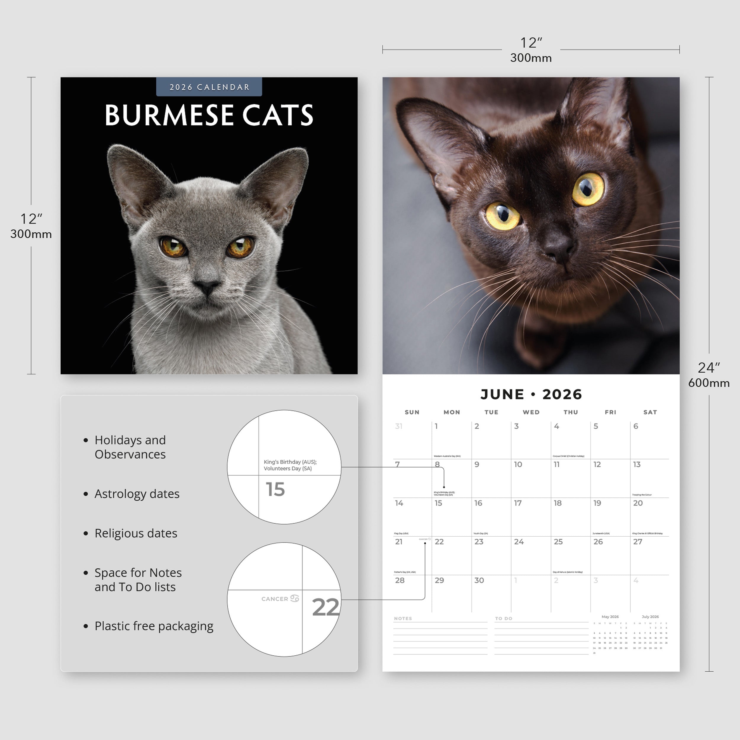 2026 Burmese Cats - Square Wall Calendar