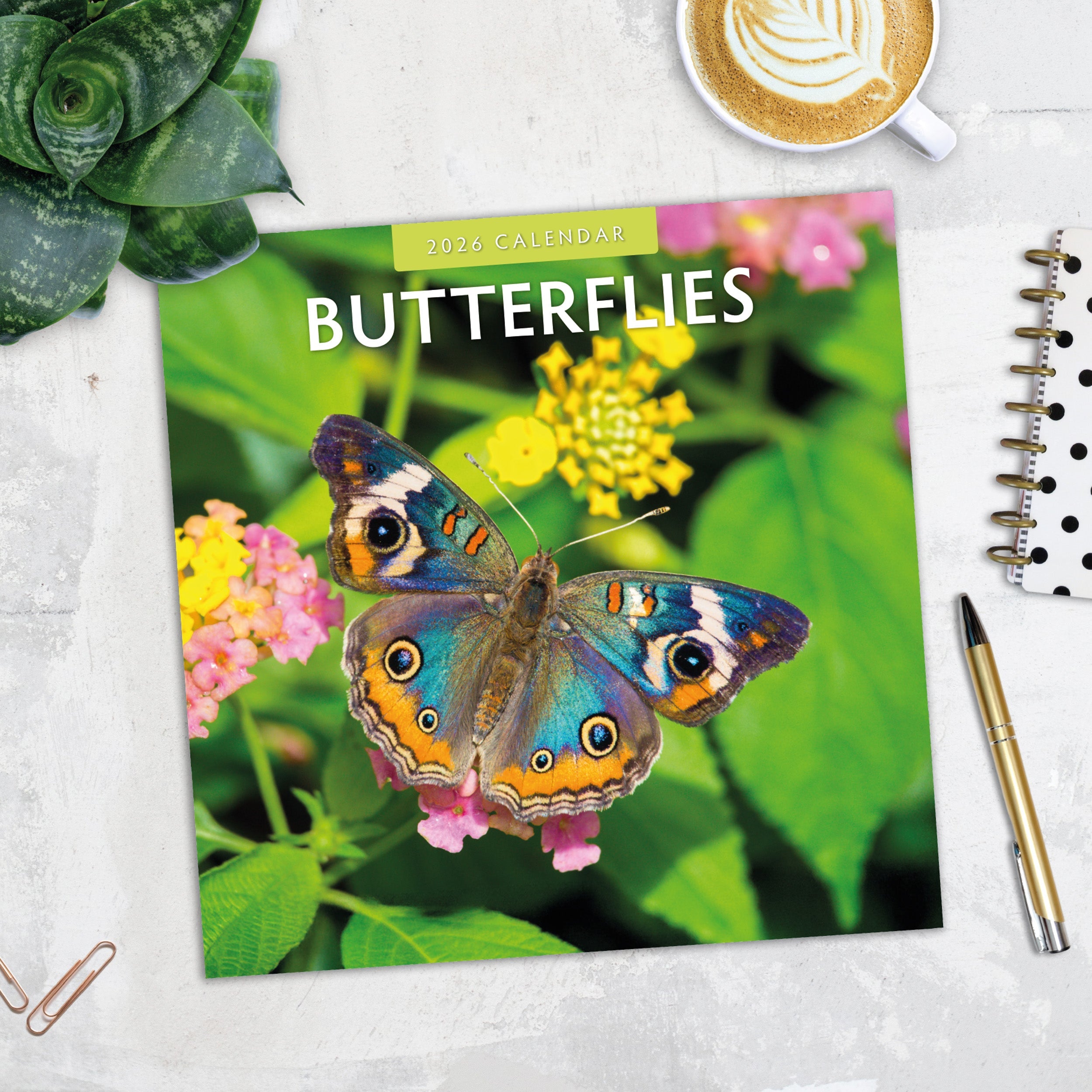 2026 Butterflies - Square Wall Calendar