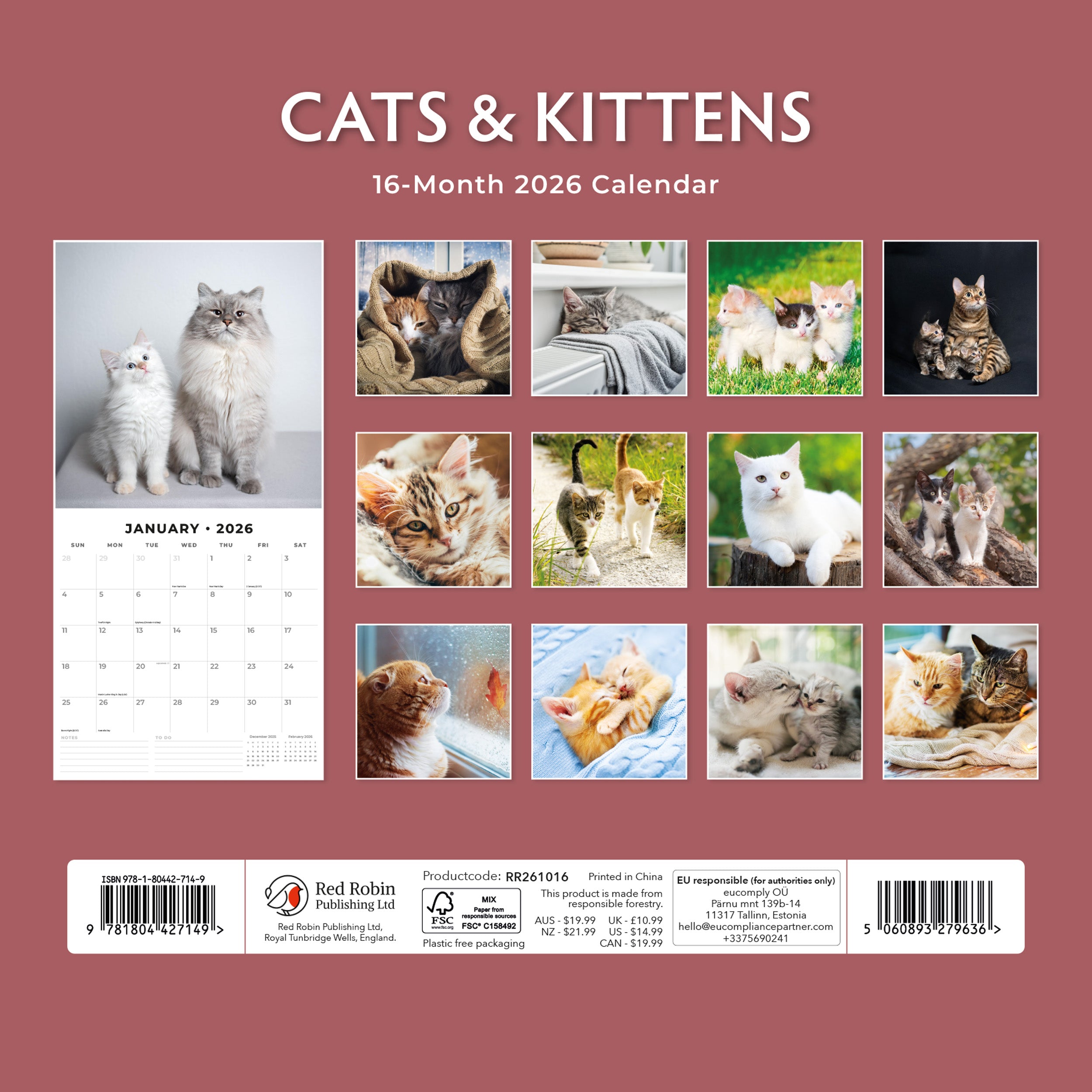2026 Cats & Kittens - Square Wall Calendar