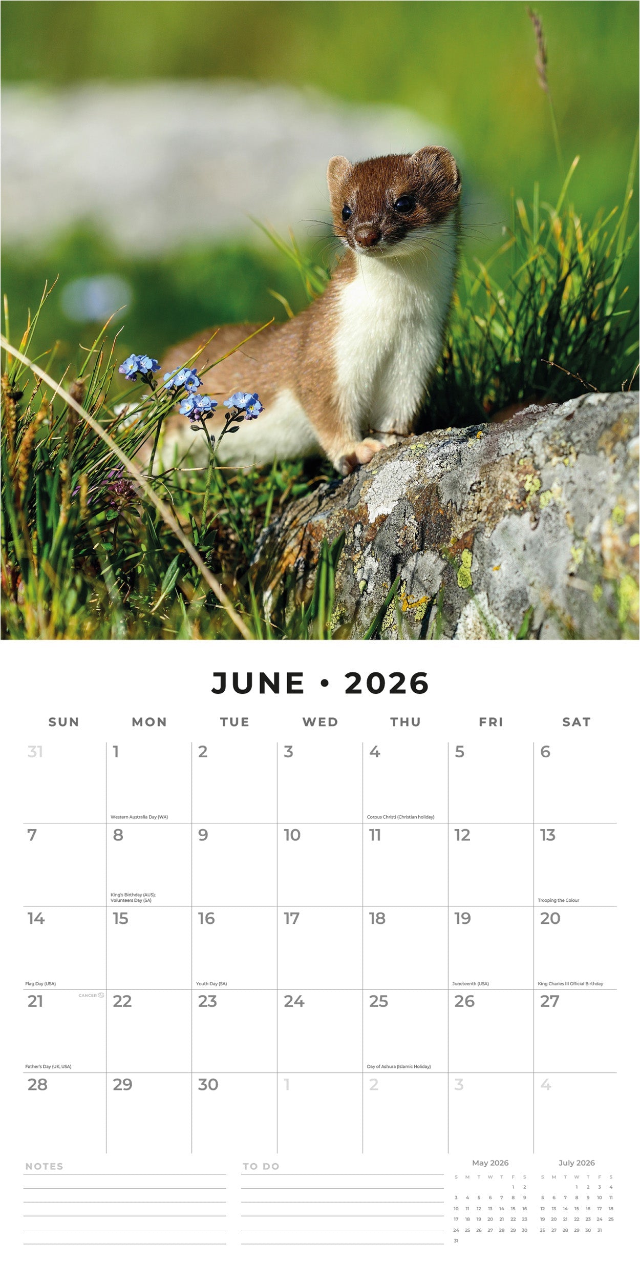 2026 Country Wildlife - Square Wall Calendar