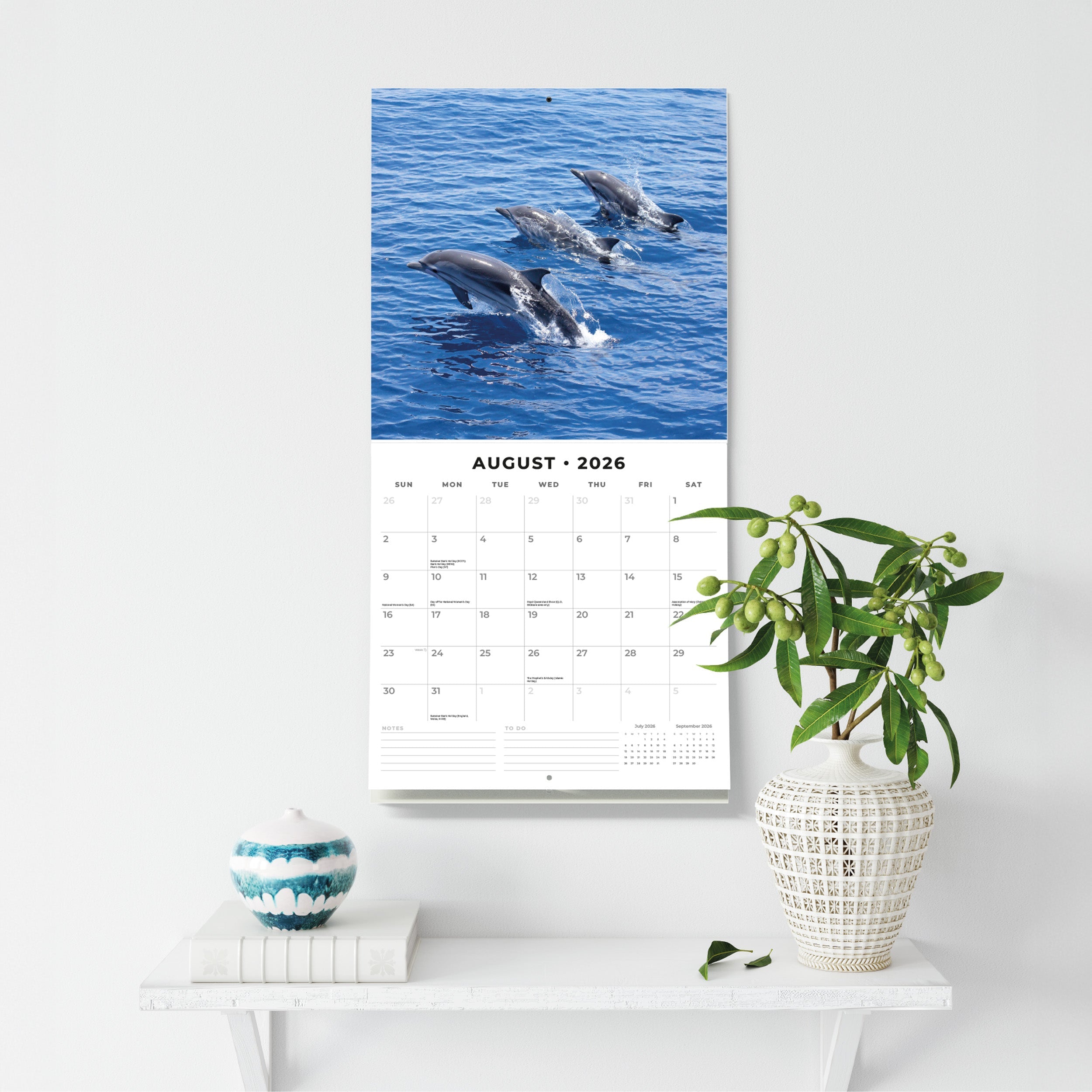 2026 Dolphins - Square Wall Calendar