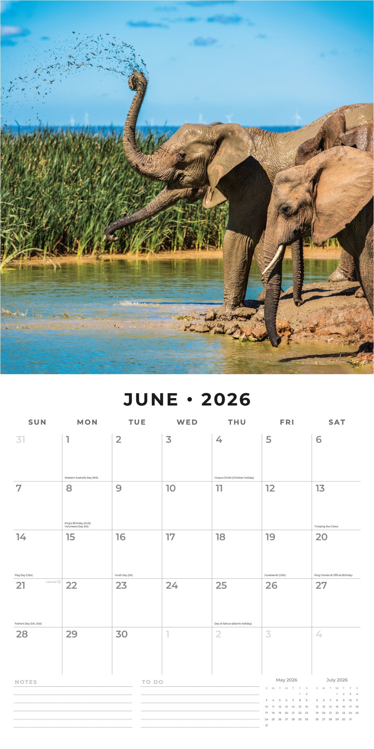 2026 Elephants - Square Wall Calendar
