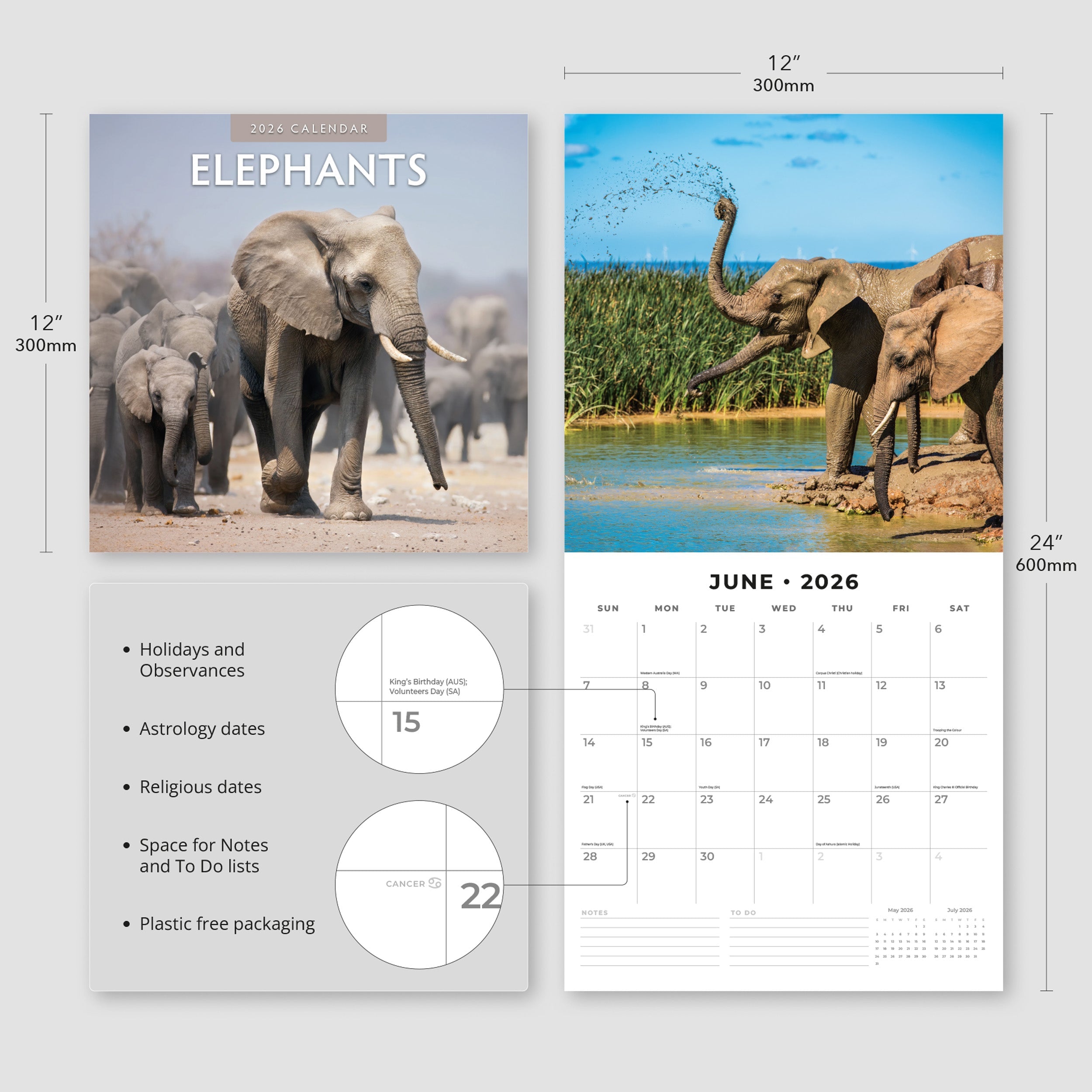 2026 Elephants - Square Wall Calendar