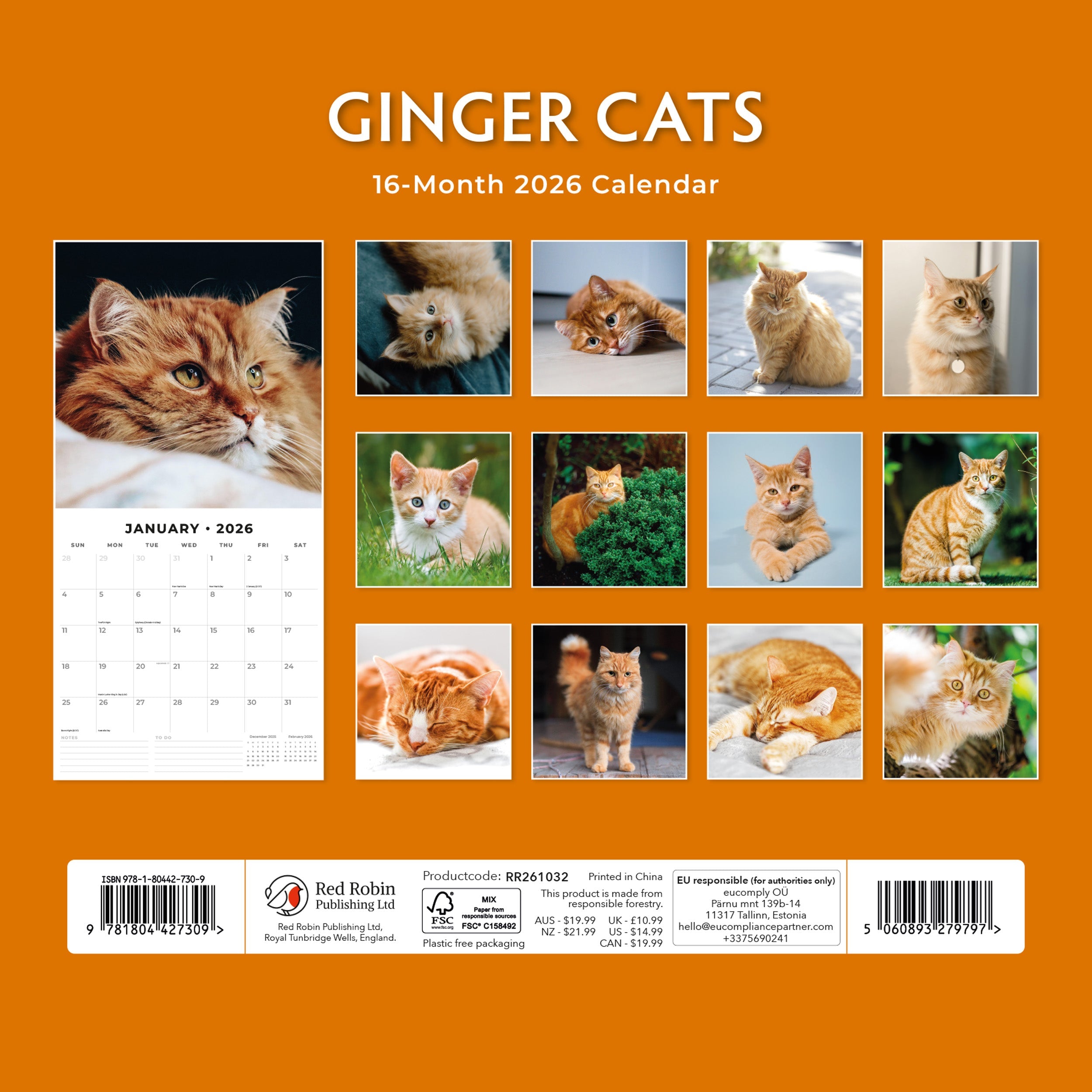 2026 Ginger Cats - Square Wall Calendar