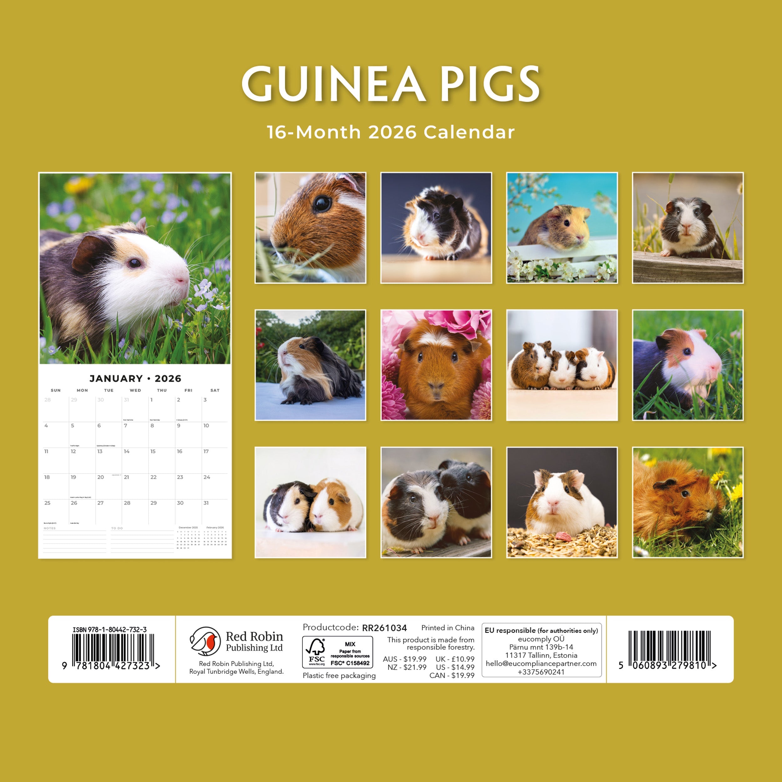 2026 Guinea Pigs - Square Wall Calendar