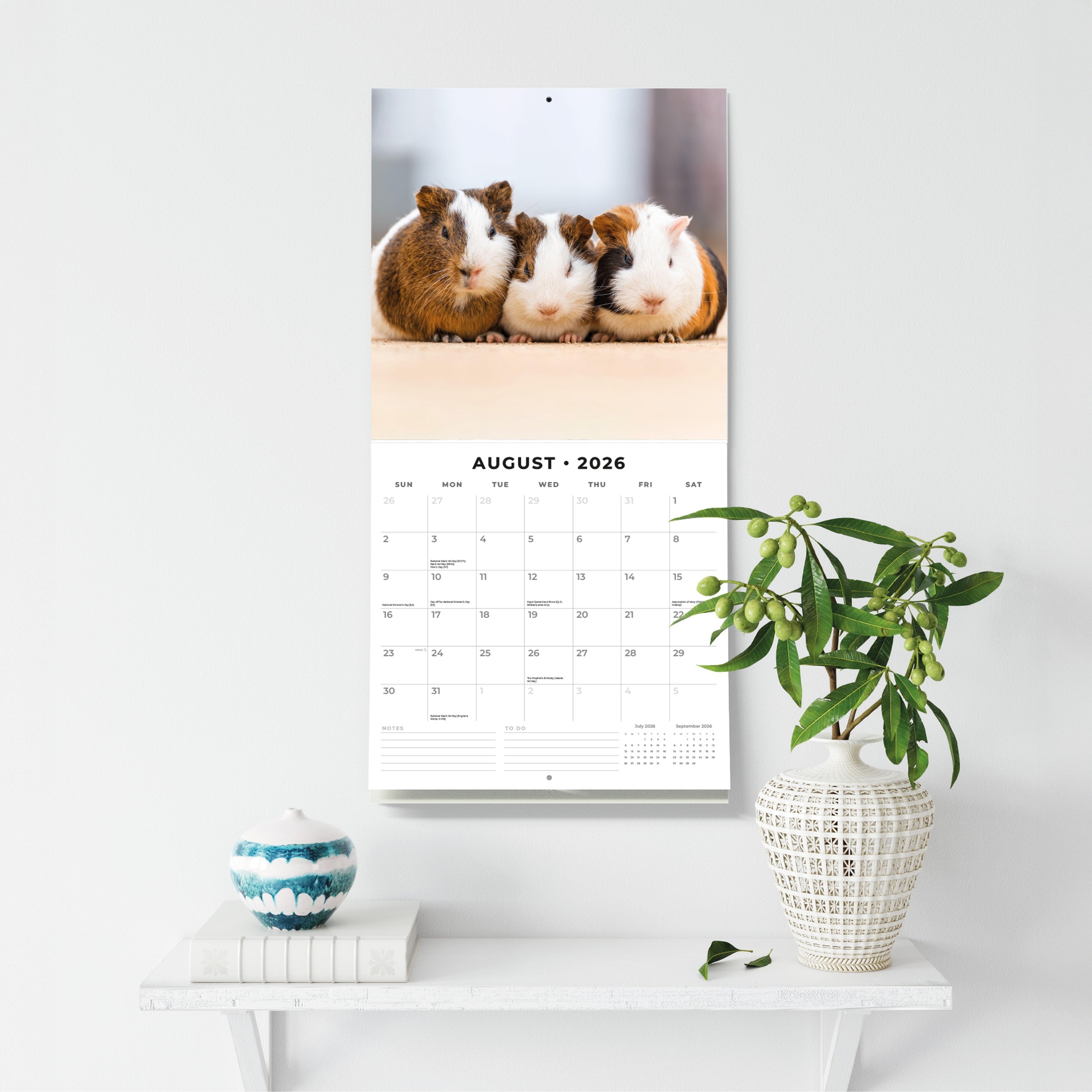 2026 Guinea Pigs - Square Wall Calendar