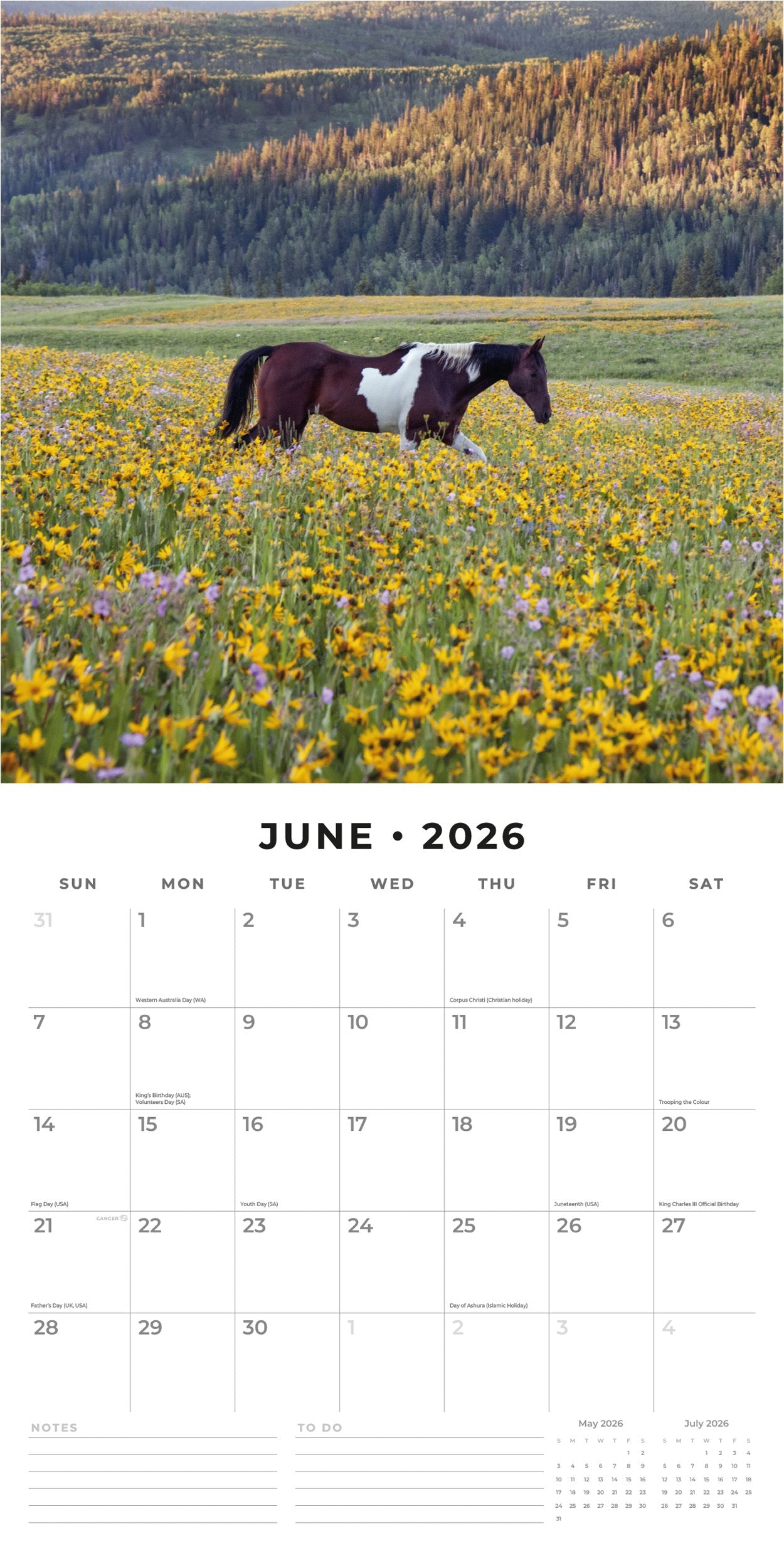 2026 Horses - Square Wall Calendar