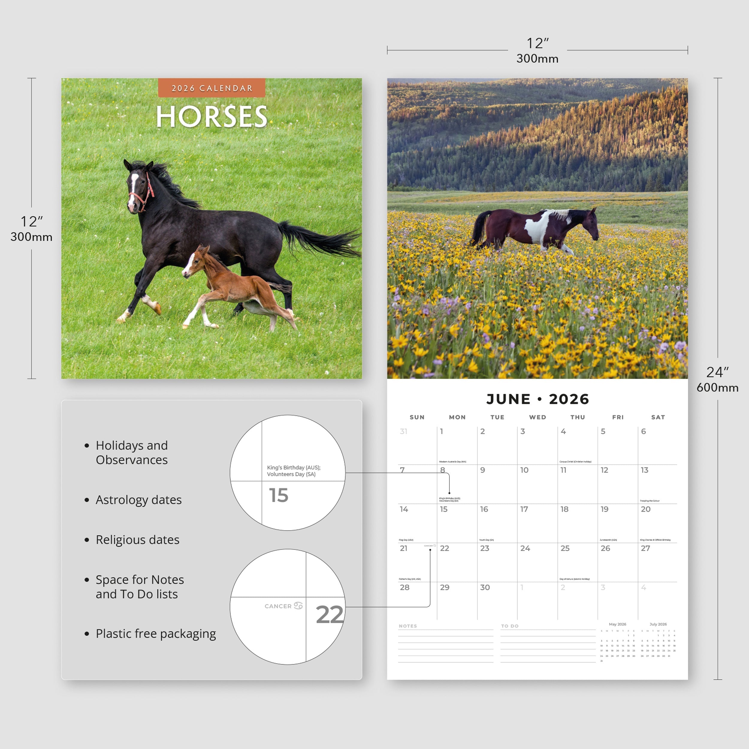 2026 Horses - Square Wall Calendar