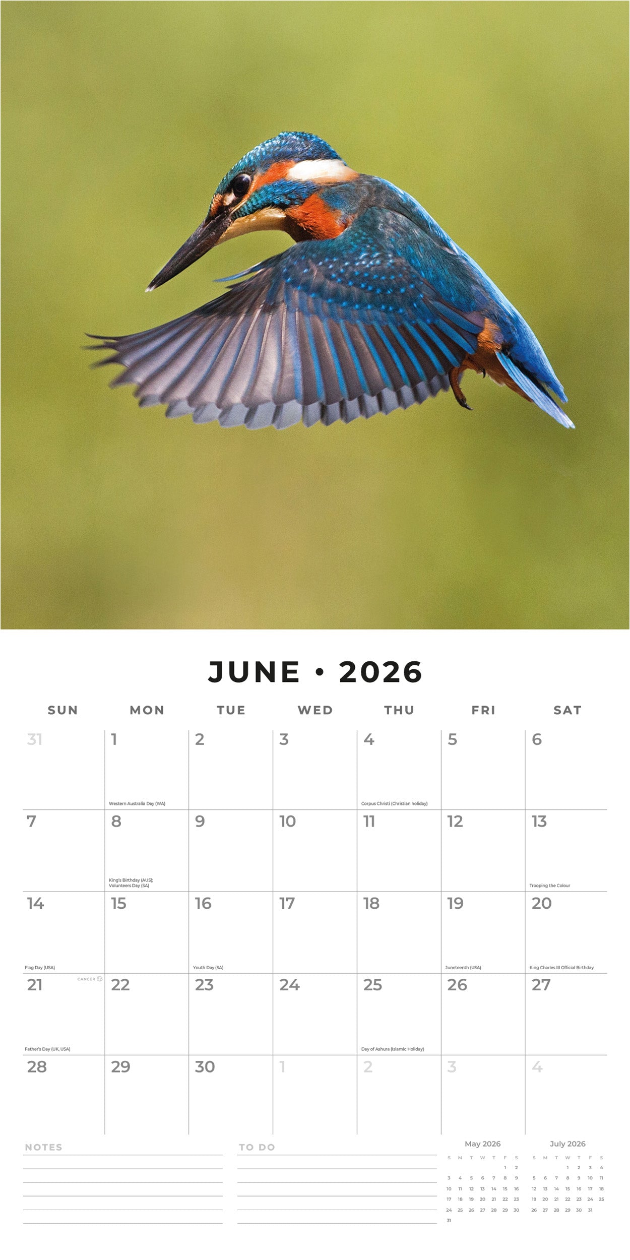 2026 Kingfishers - Square Wall Calendar