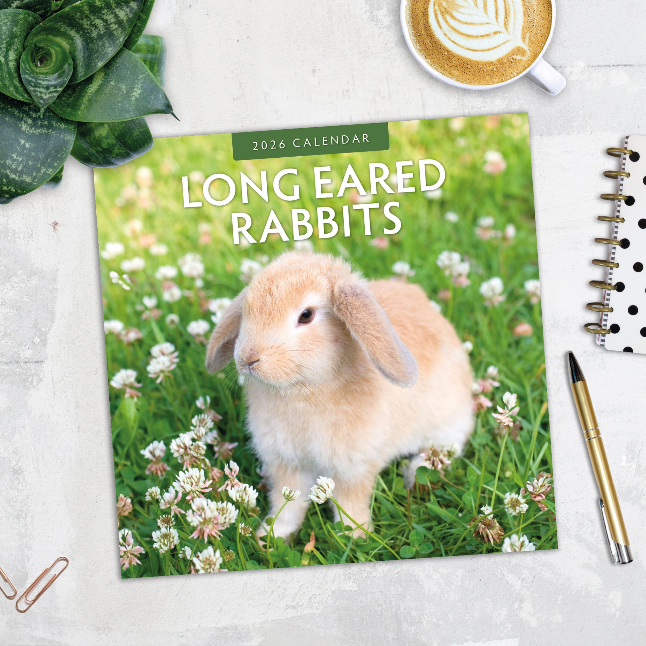 2026 Long Eared Rabbits - Square Wall Calendar